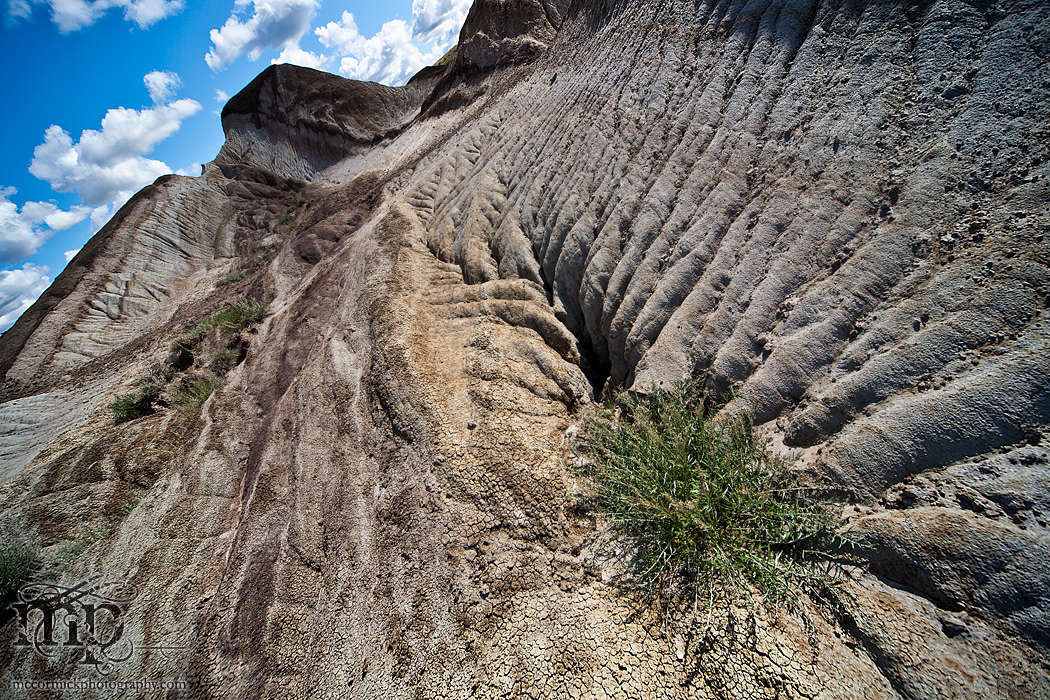 Monitor Mud Buttes 2011: Watch yer step [landscape]