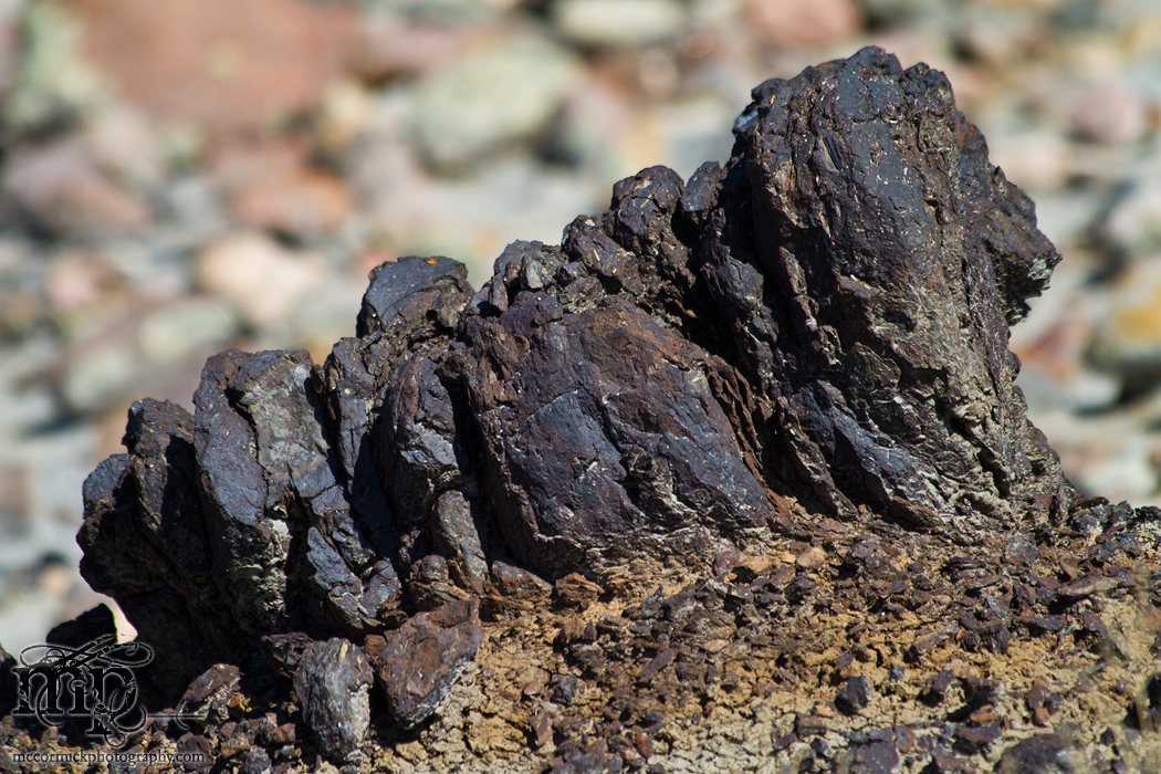 Monitor Mud Buttes 2011: Exposed coal [6 of 6]