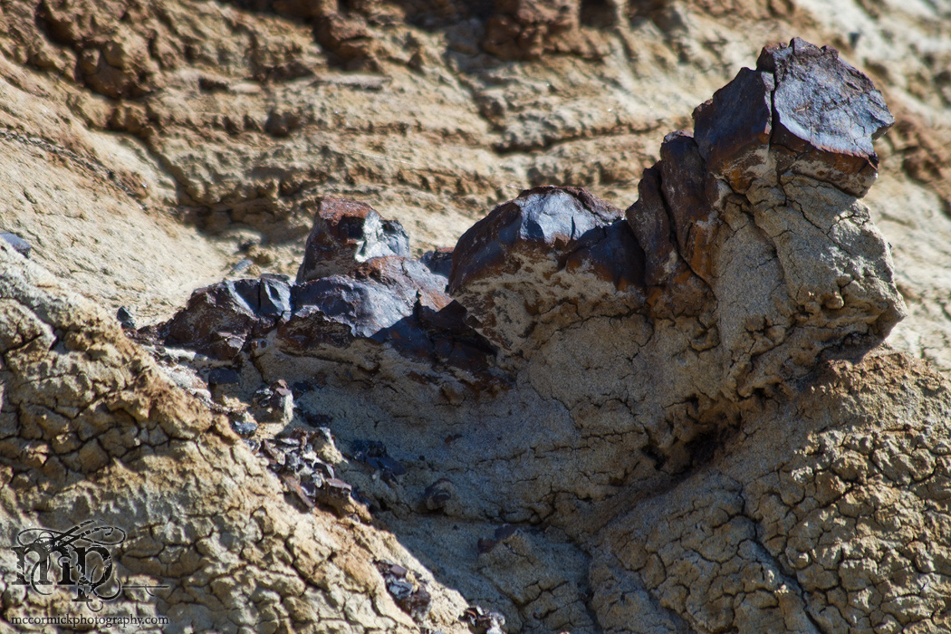 Monitor Mud Buttes 2011: Exposed coal [4 of 6]