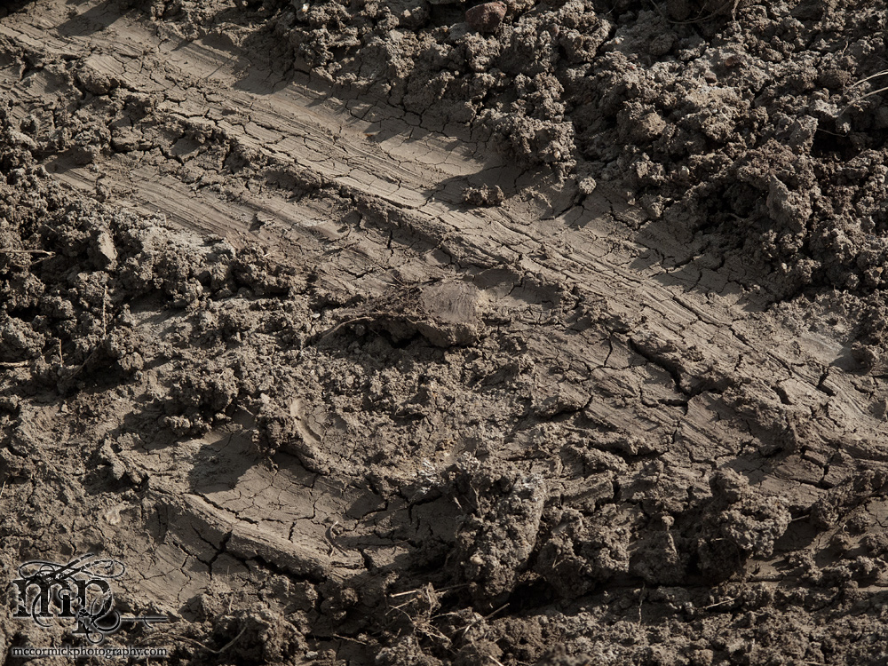 Monitor Mud Buttes 2011: Skid row