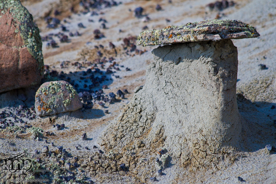 Monitor Mud Buttes: Typical erosion [2 of 2]