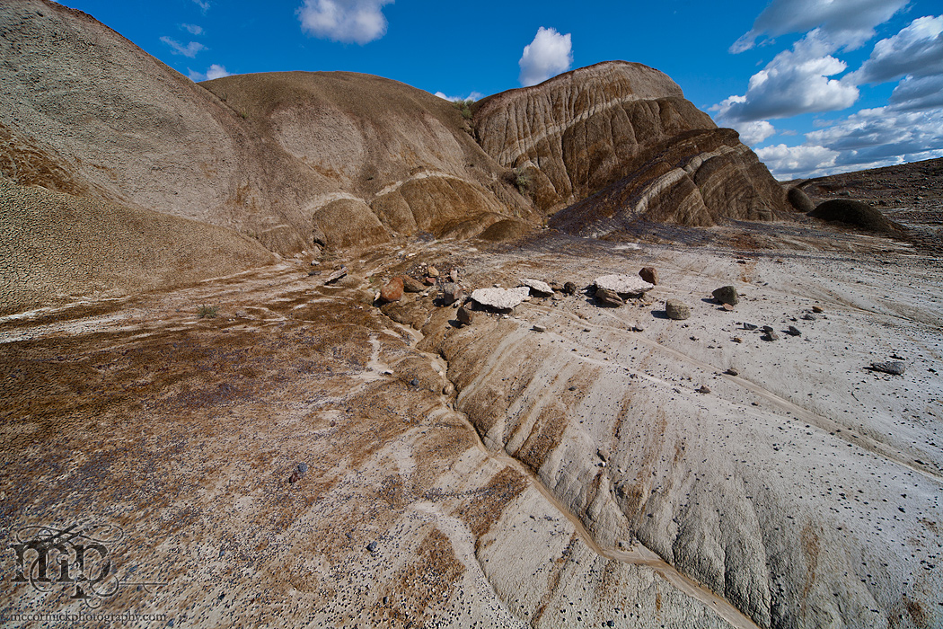 Monitor Mud Buttes 2011: Standing in line [Colour]