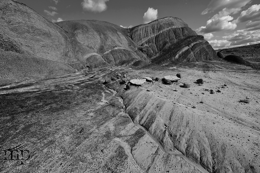 Monitor Mud Buttes 2011: Standing in line [B&W]