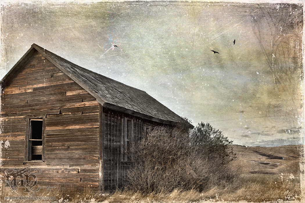 The world's most boringest abandoned homestead