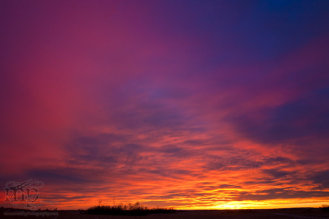Sunset, Jan 02, 2012 - I'm still here