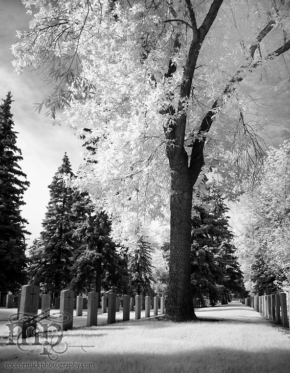 2004-08-09 Cemetary in Infrared