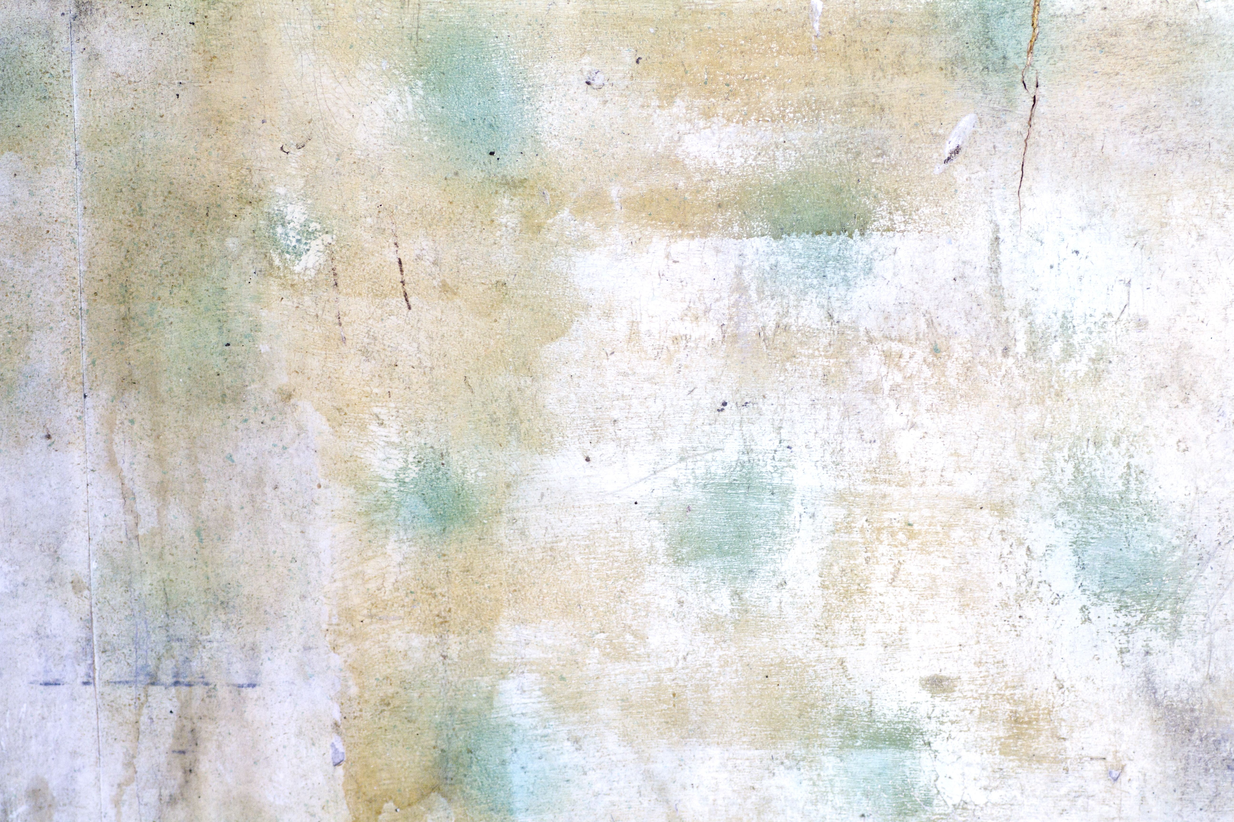 Texture : George Beck Homestead [8 of 8]