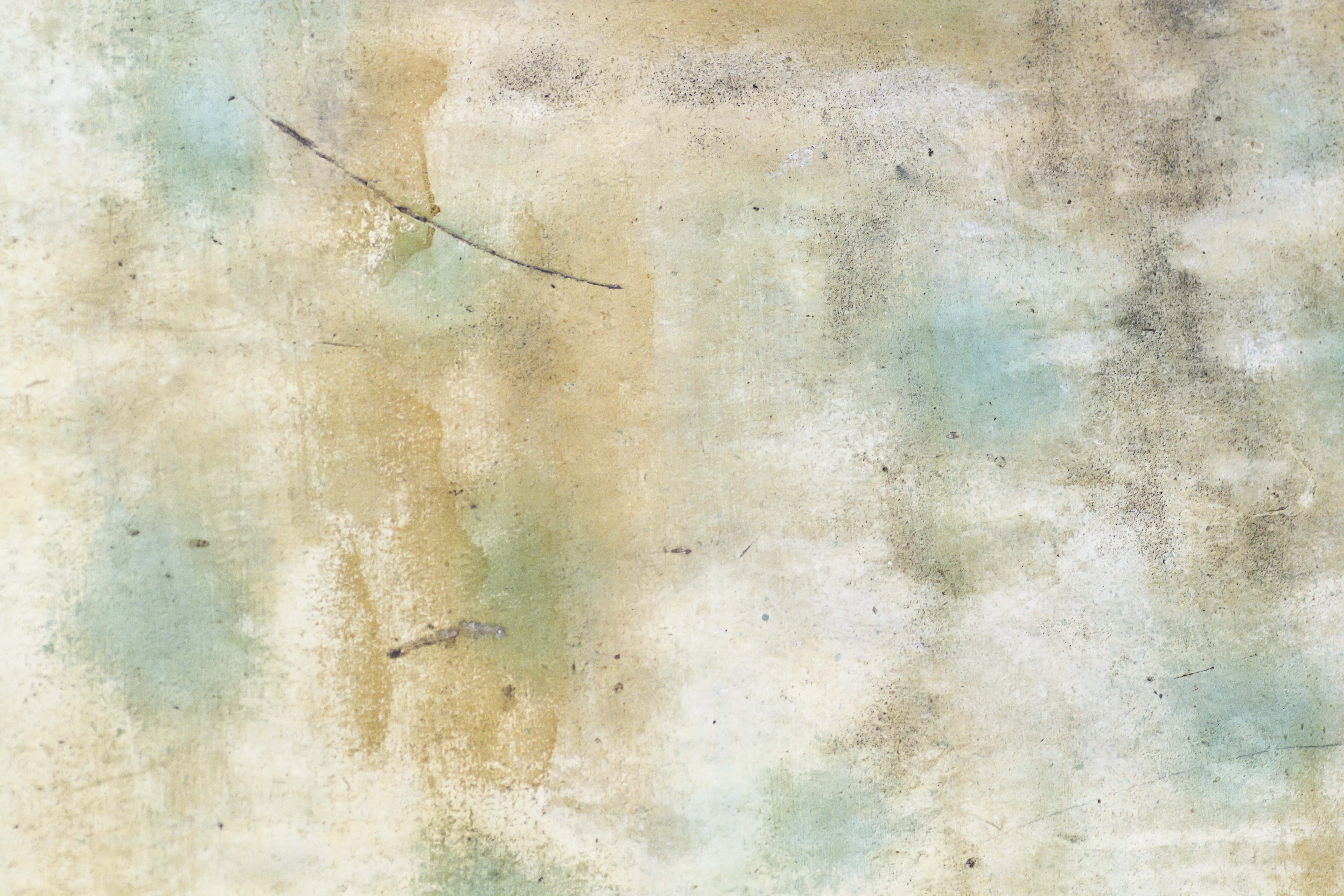 Texture : George Beck Homestead [2 of 8]