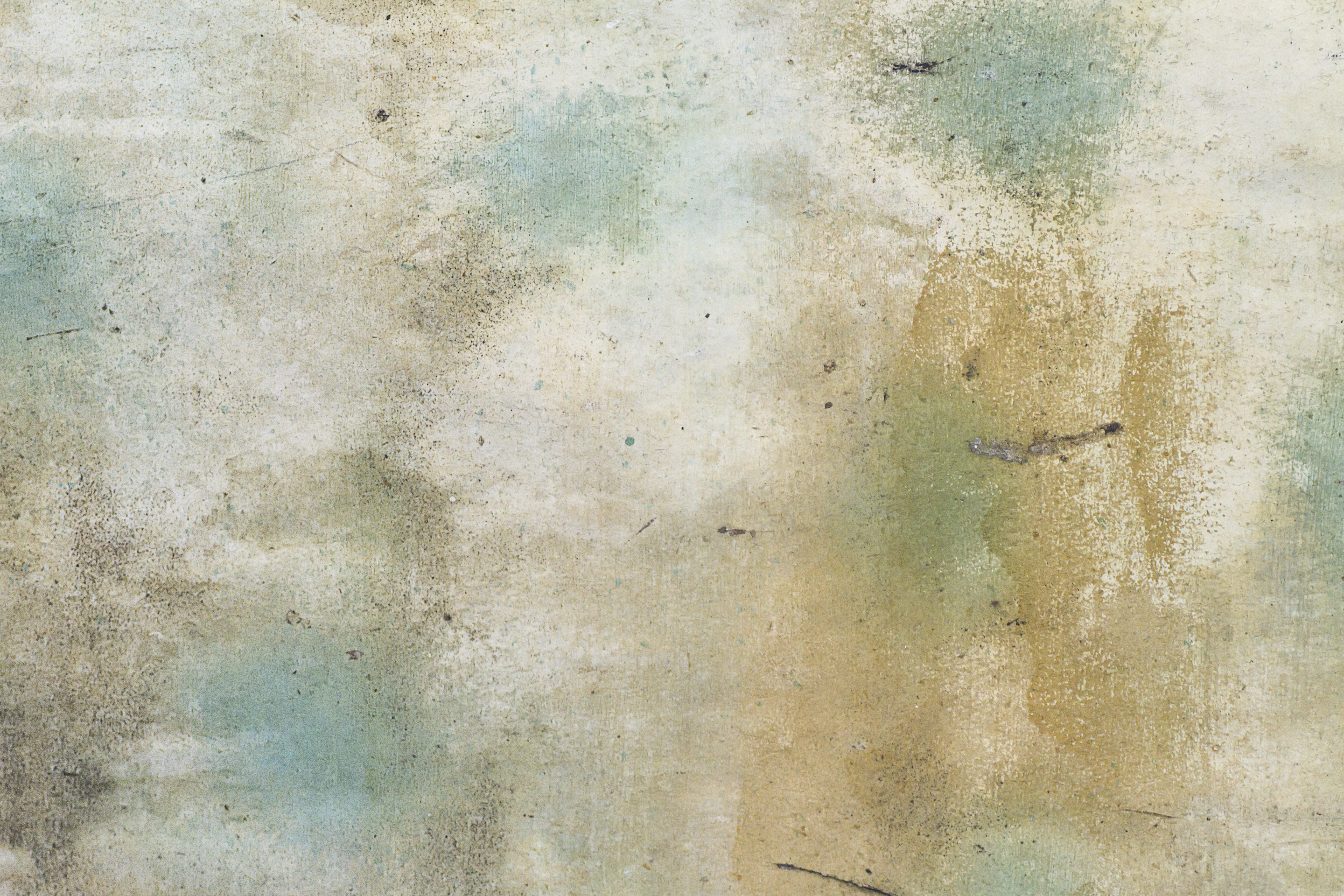 Texture : George Beck Homestead [1 of 8]