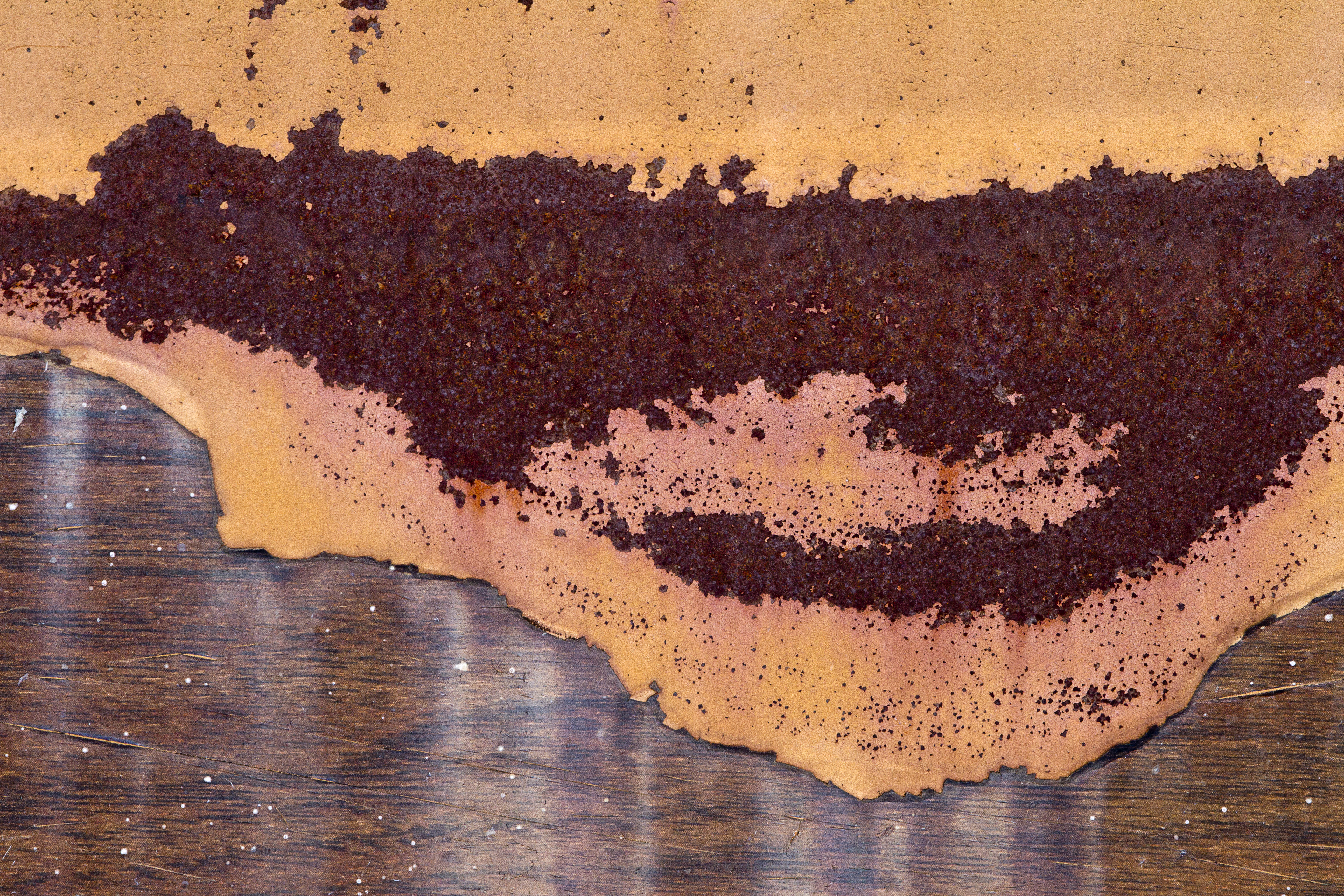 Texture : Altario Buick Estate Wagon : Rotting Faux Wood Paneling [2 of 2]