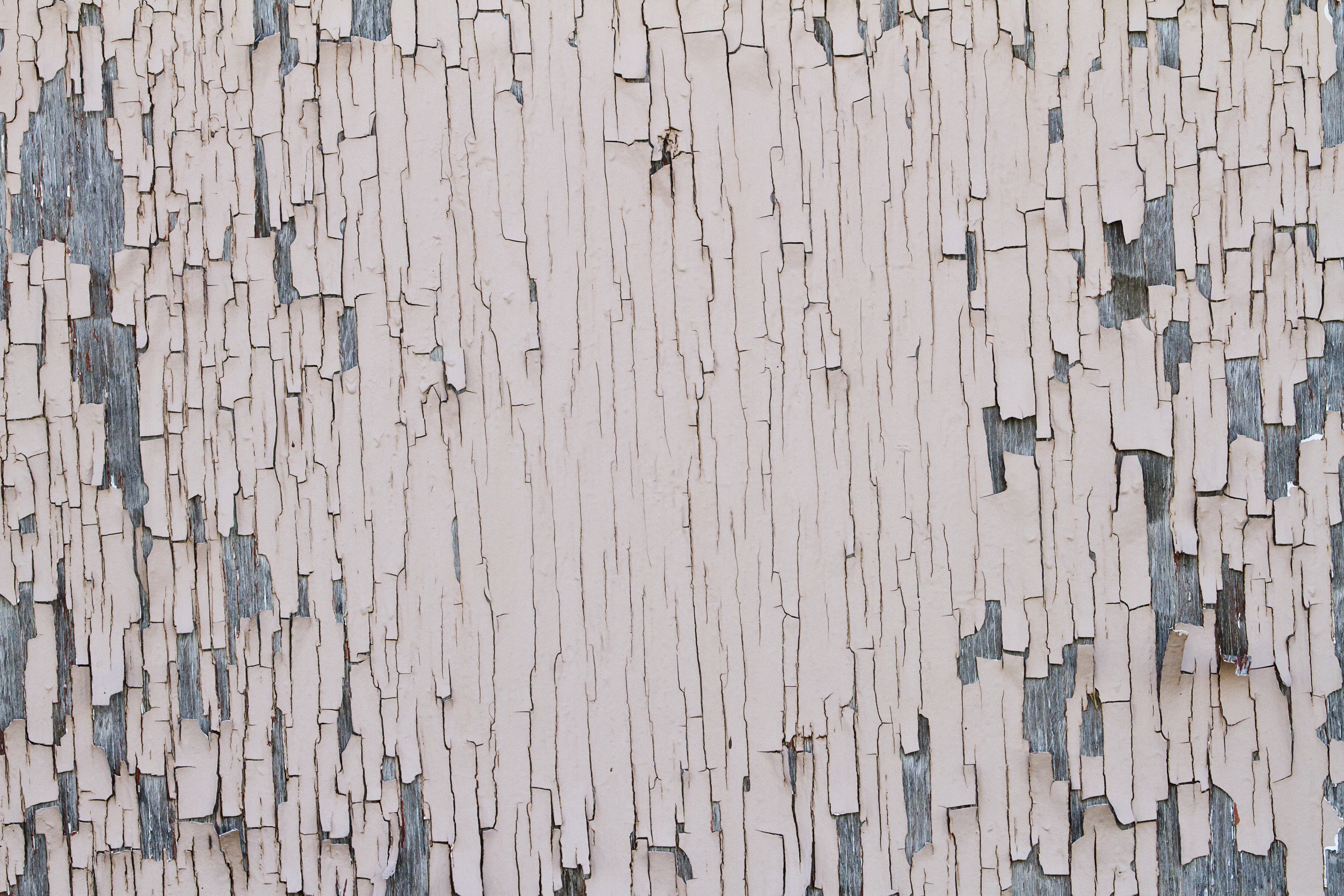 Texture : Peeling Pink Paint [5 of 8]