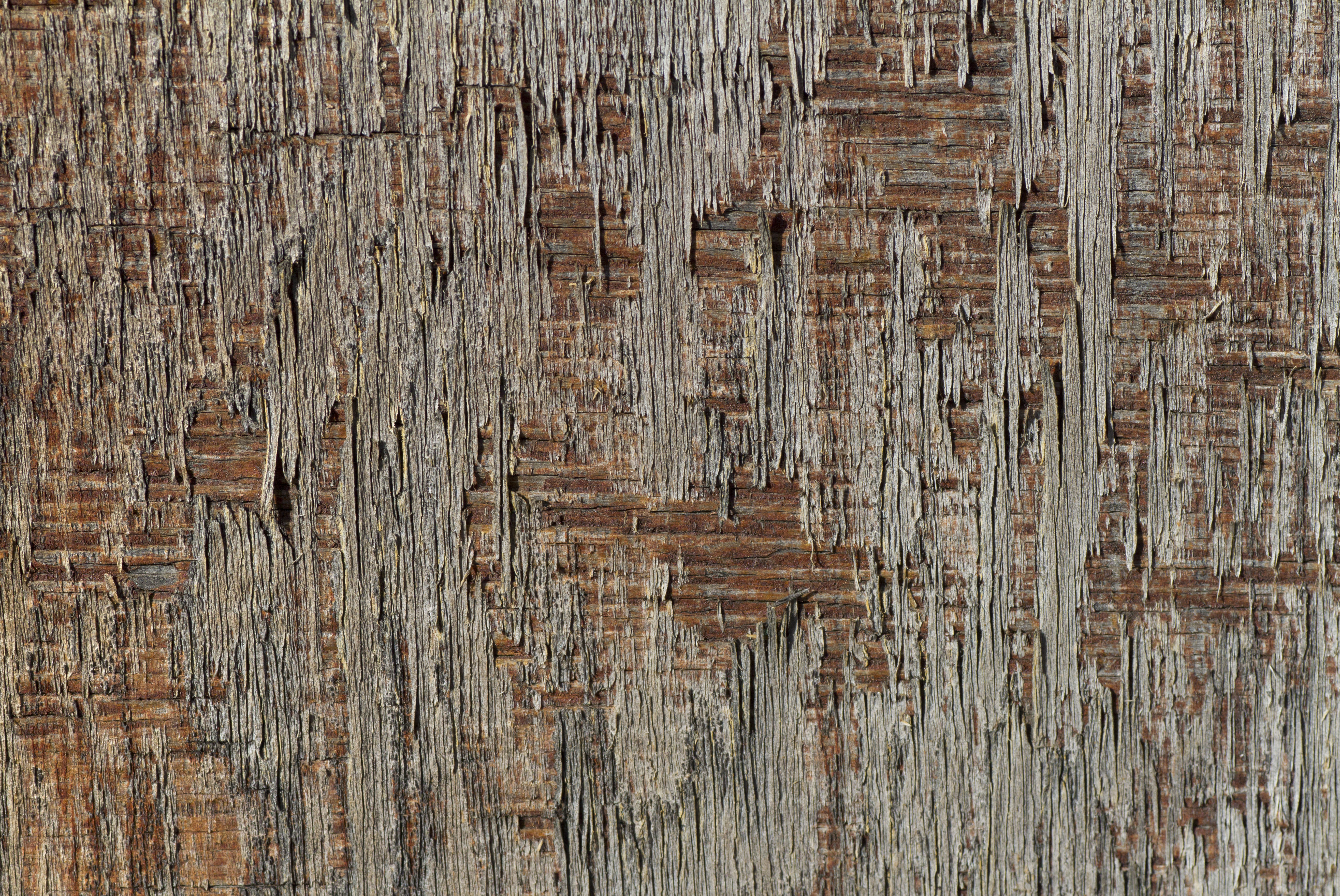 Texture : Old Vert Homestead : Weathered Front Door