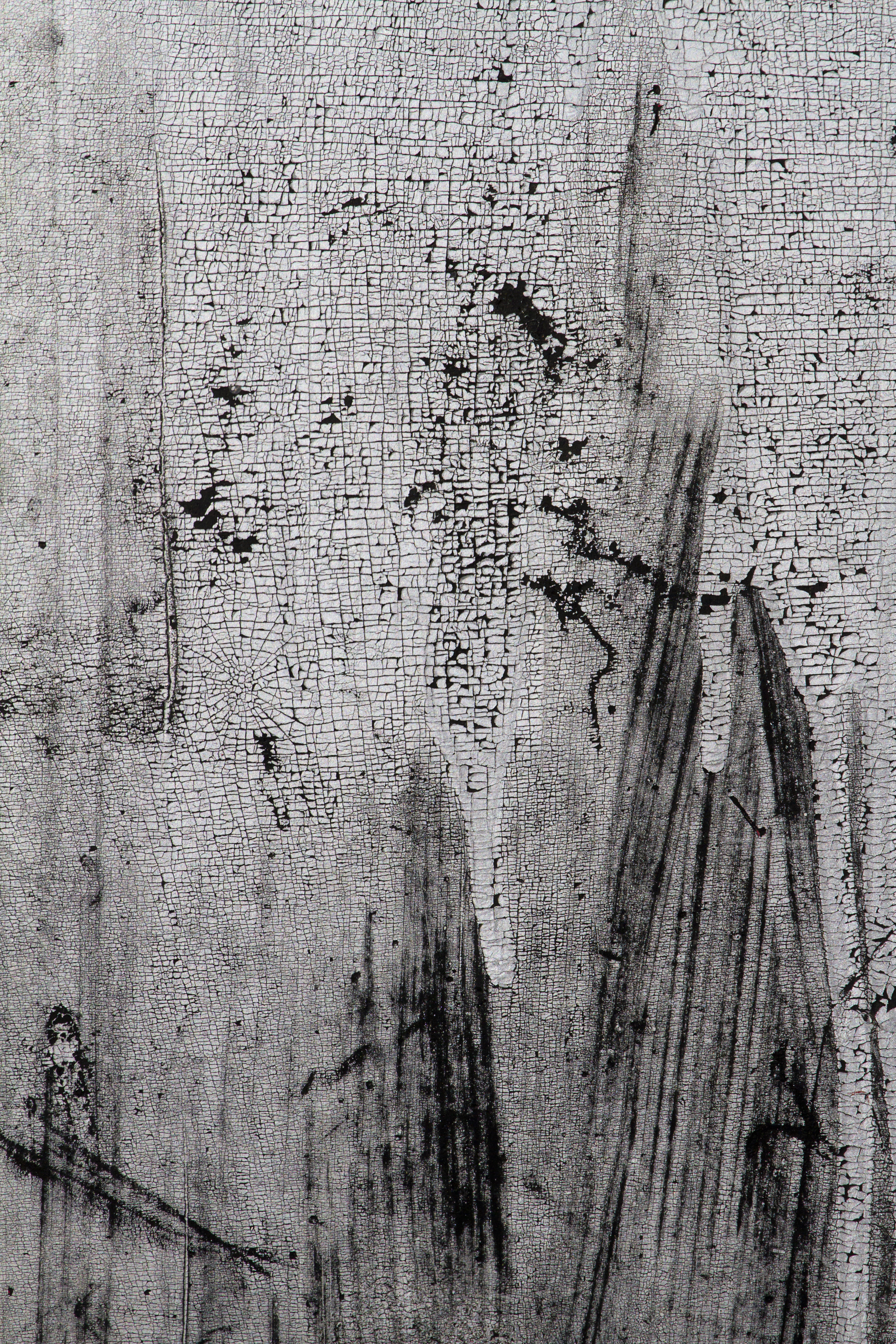 Texture : International R-130 : Mud Flap [5 of 5]