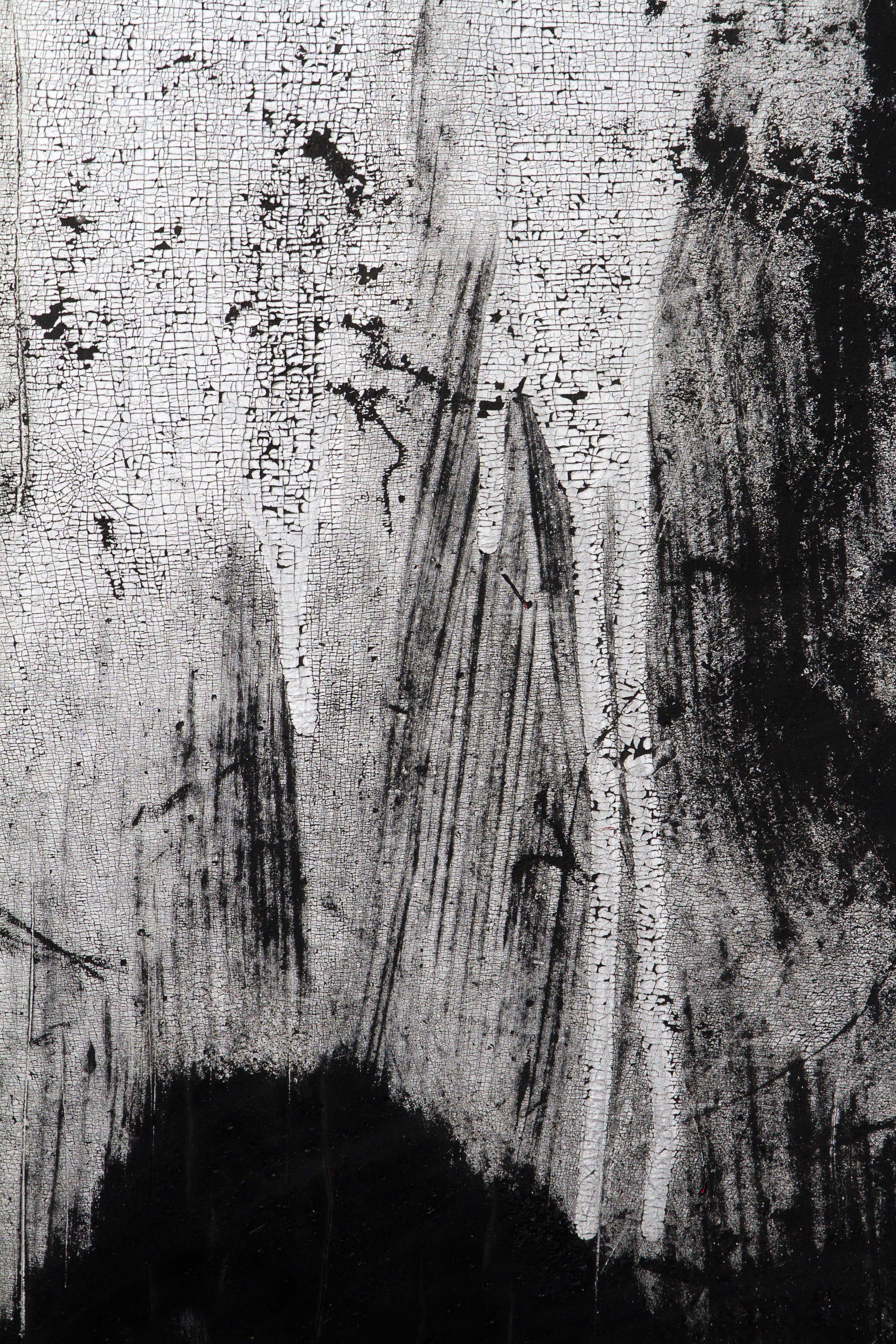 Texture : International R-130 : Mud Flap [4 of 5]