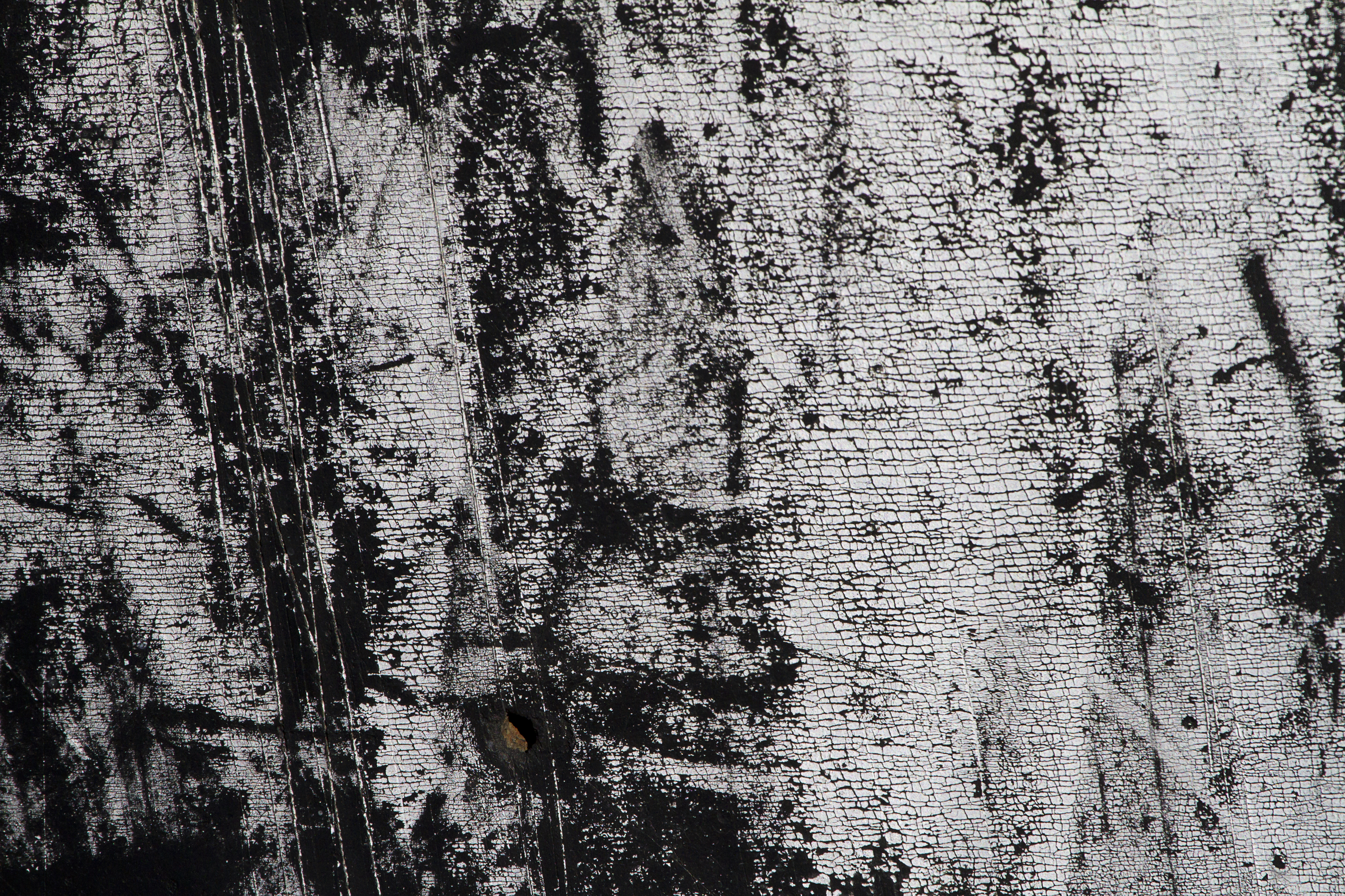 Texture : International R-130 : Mud Flap [3 of 5]