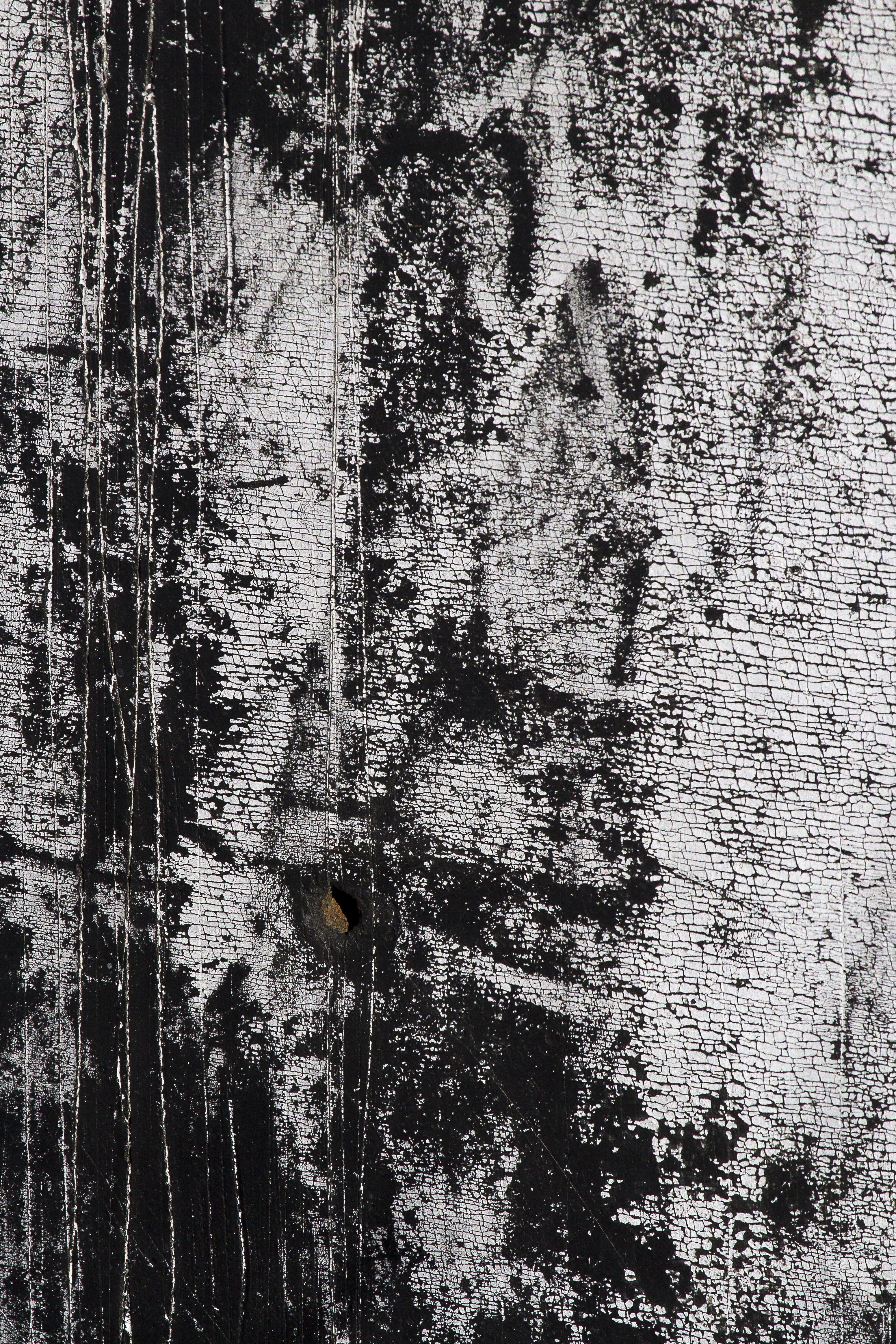 Texture : International R-130 : Mud Flap [1 of 5]