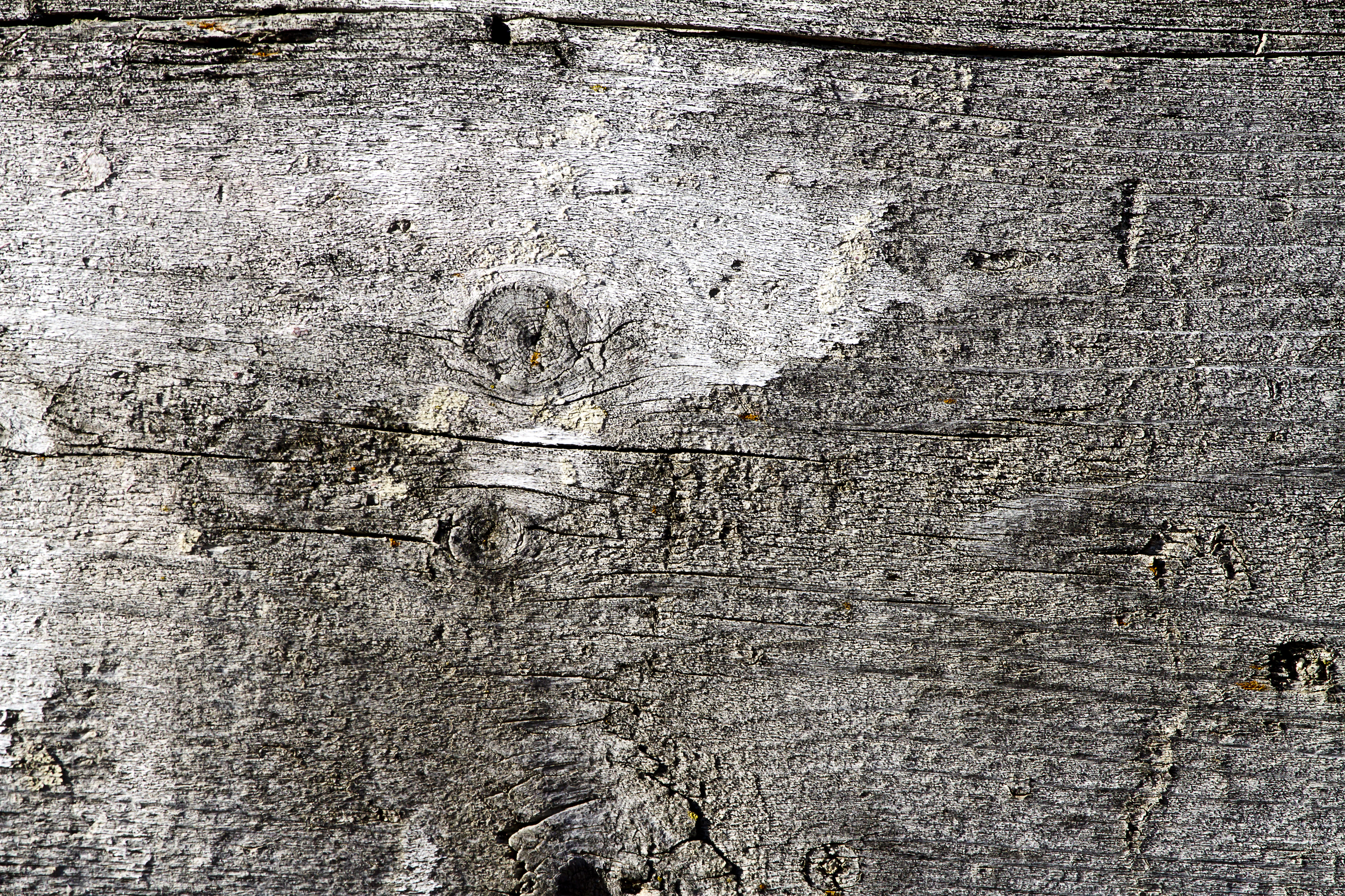 Texture : International R-130 : Box Liner [2 of 4]