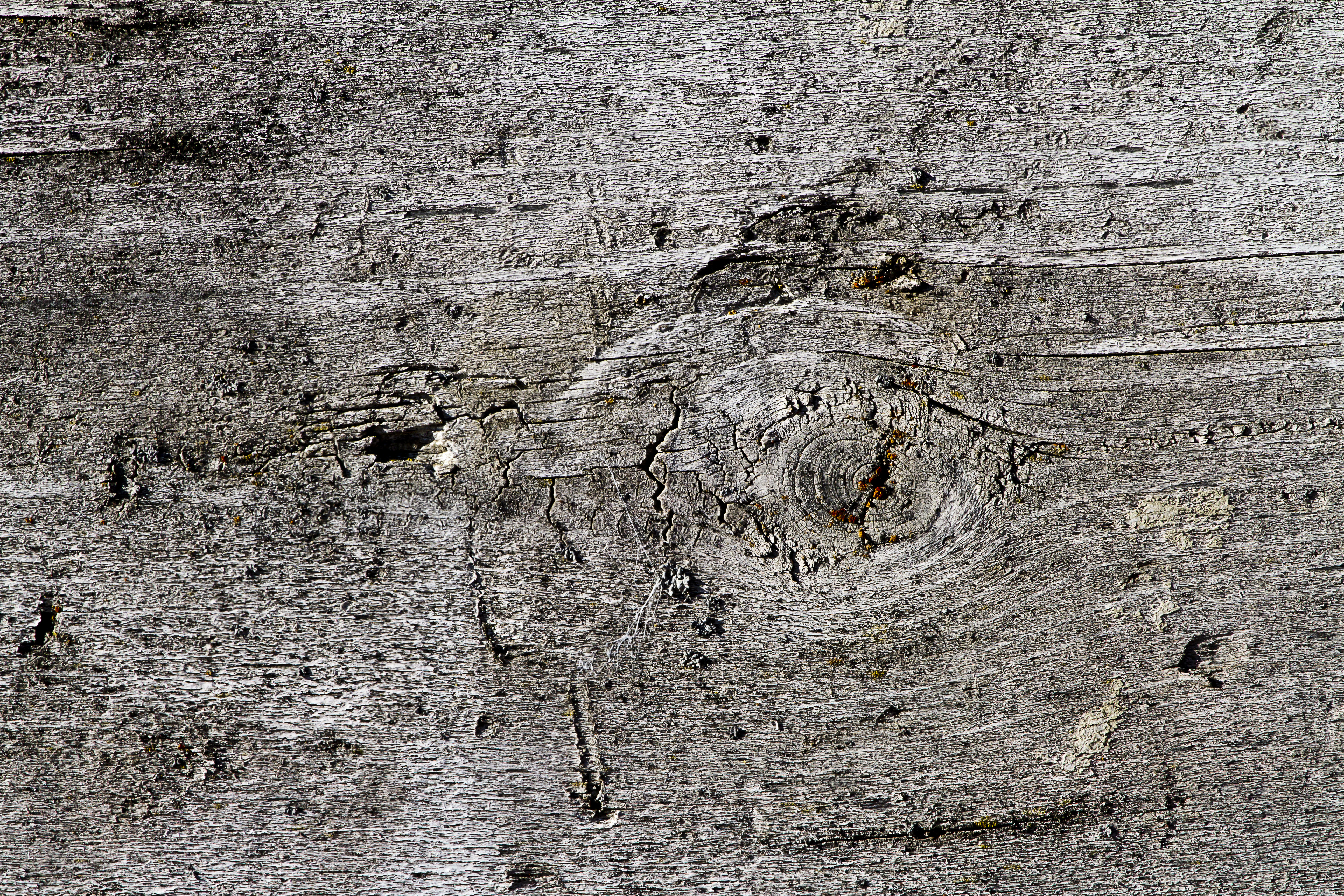 Texture : International R-130 : Box Liner [1 of 4]