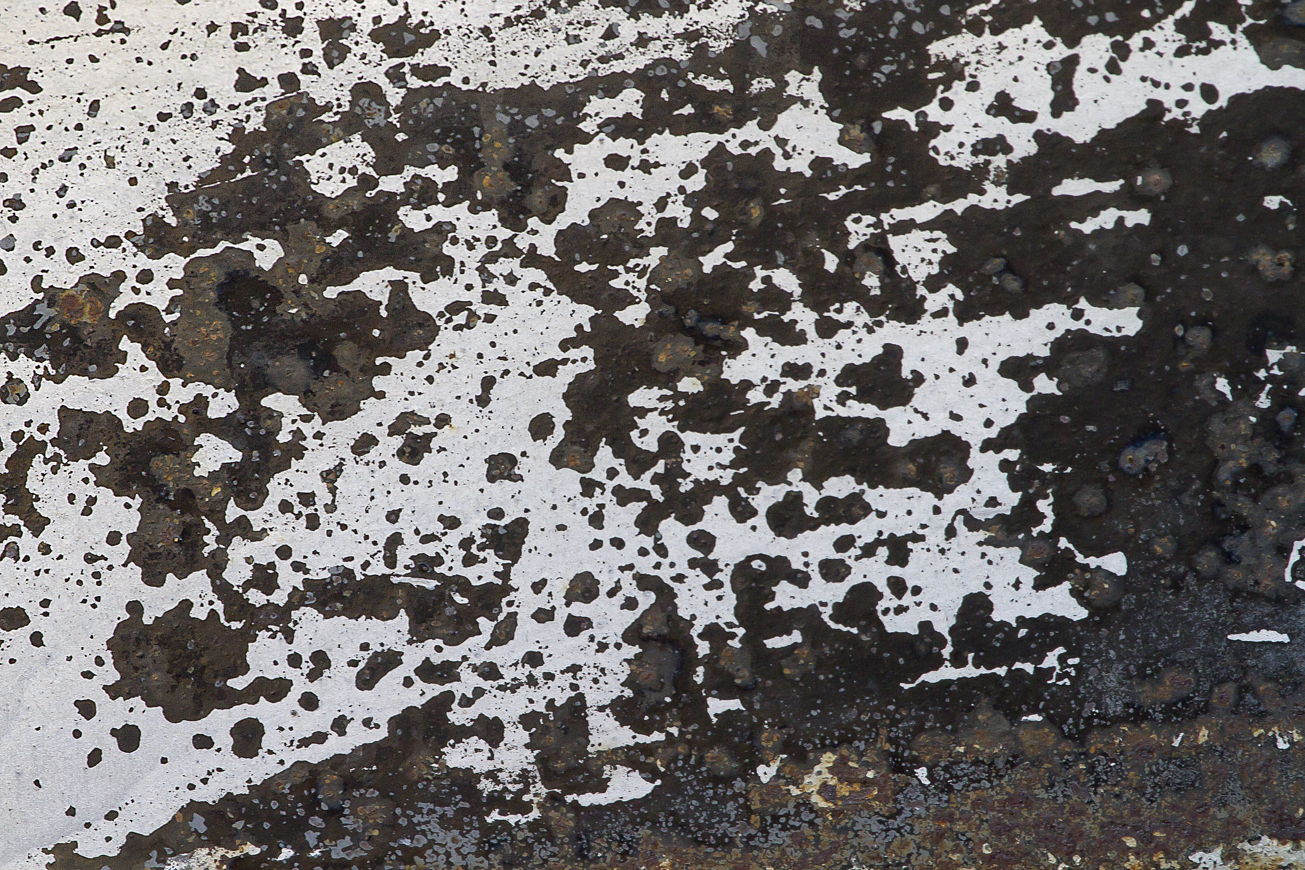 Texture : International R-130 : Rear Bumper