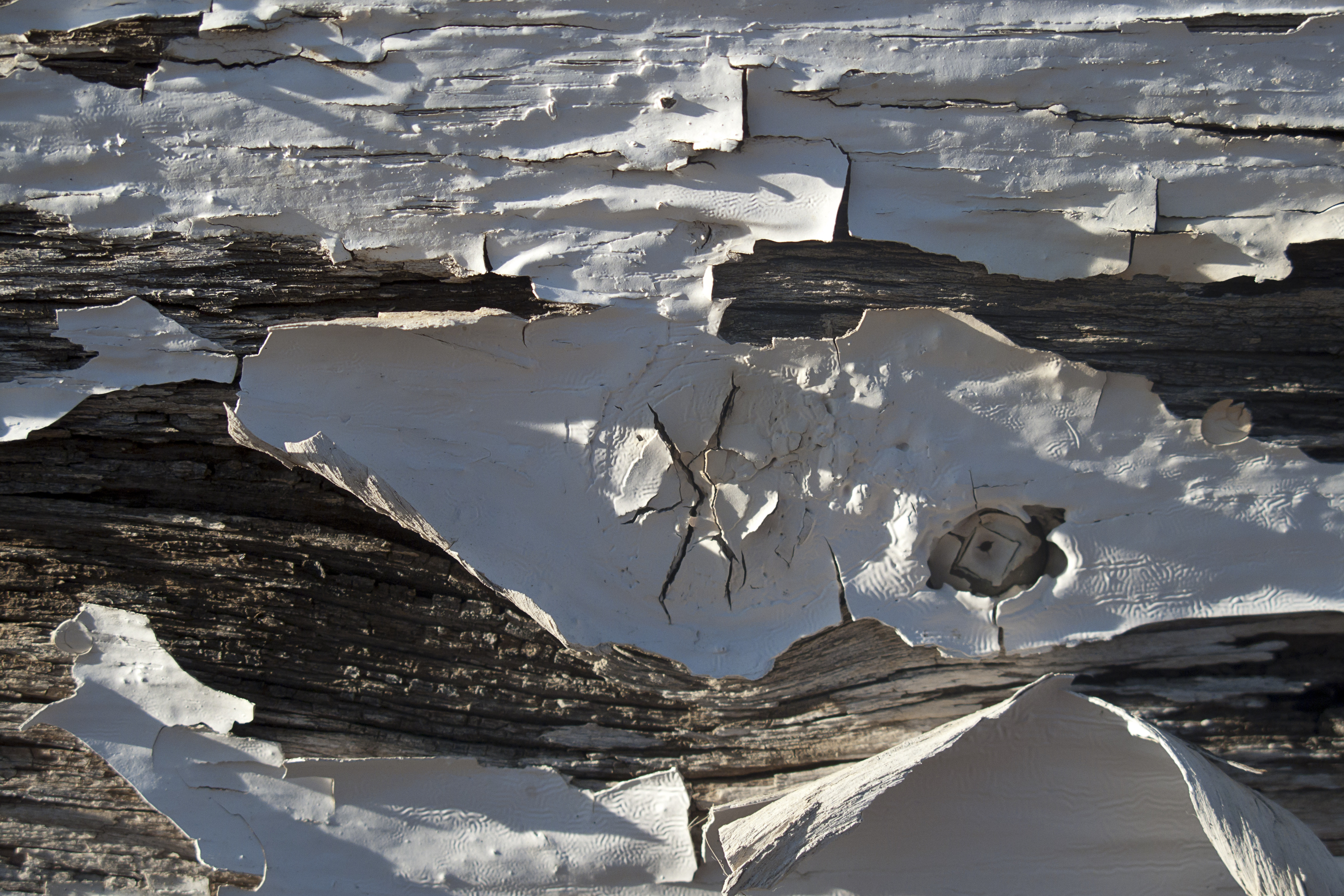 Texture : Casa McCormick [2 of 2]