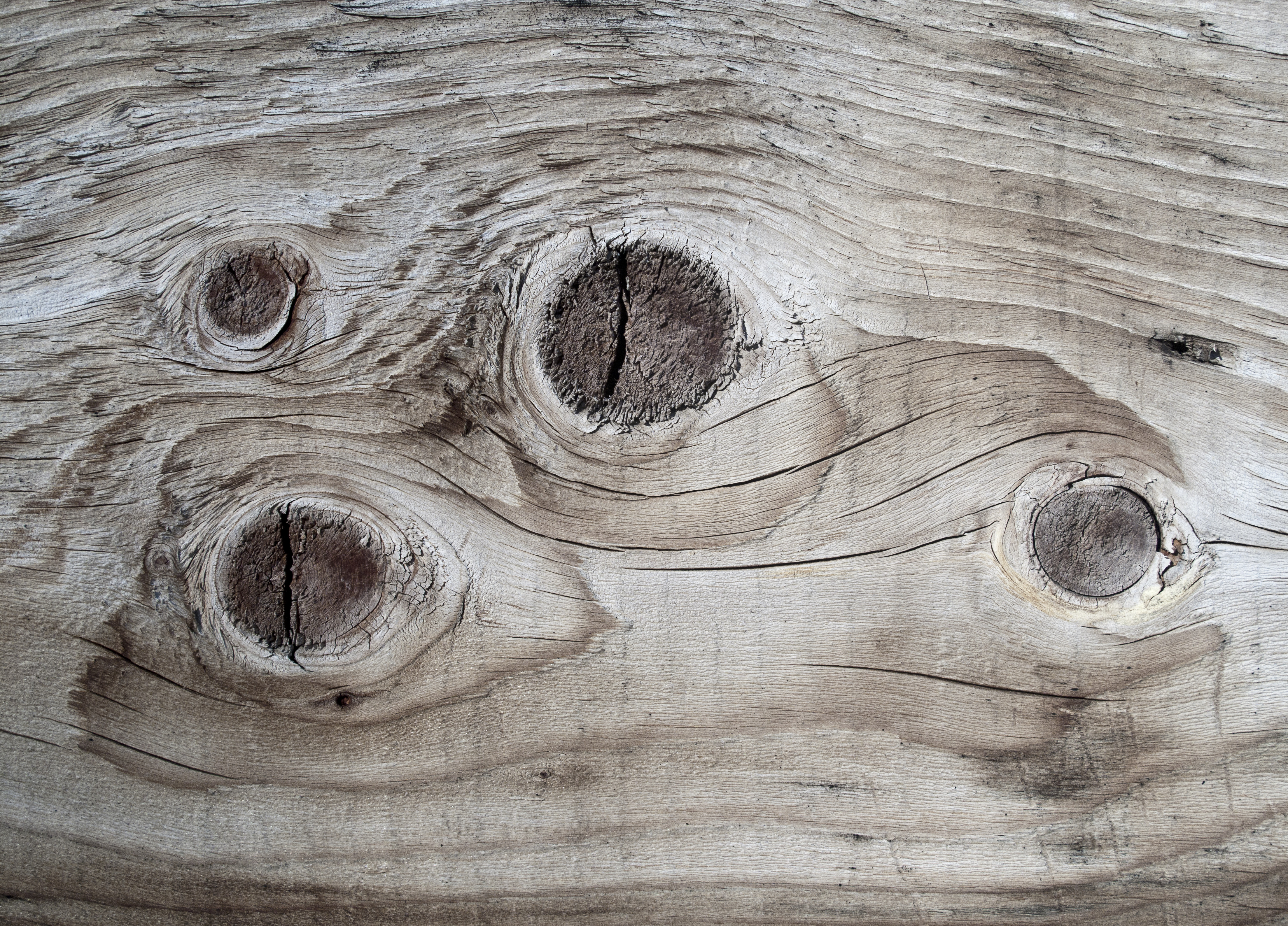 Texture : I'm So Knotty