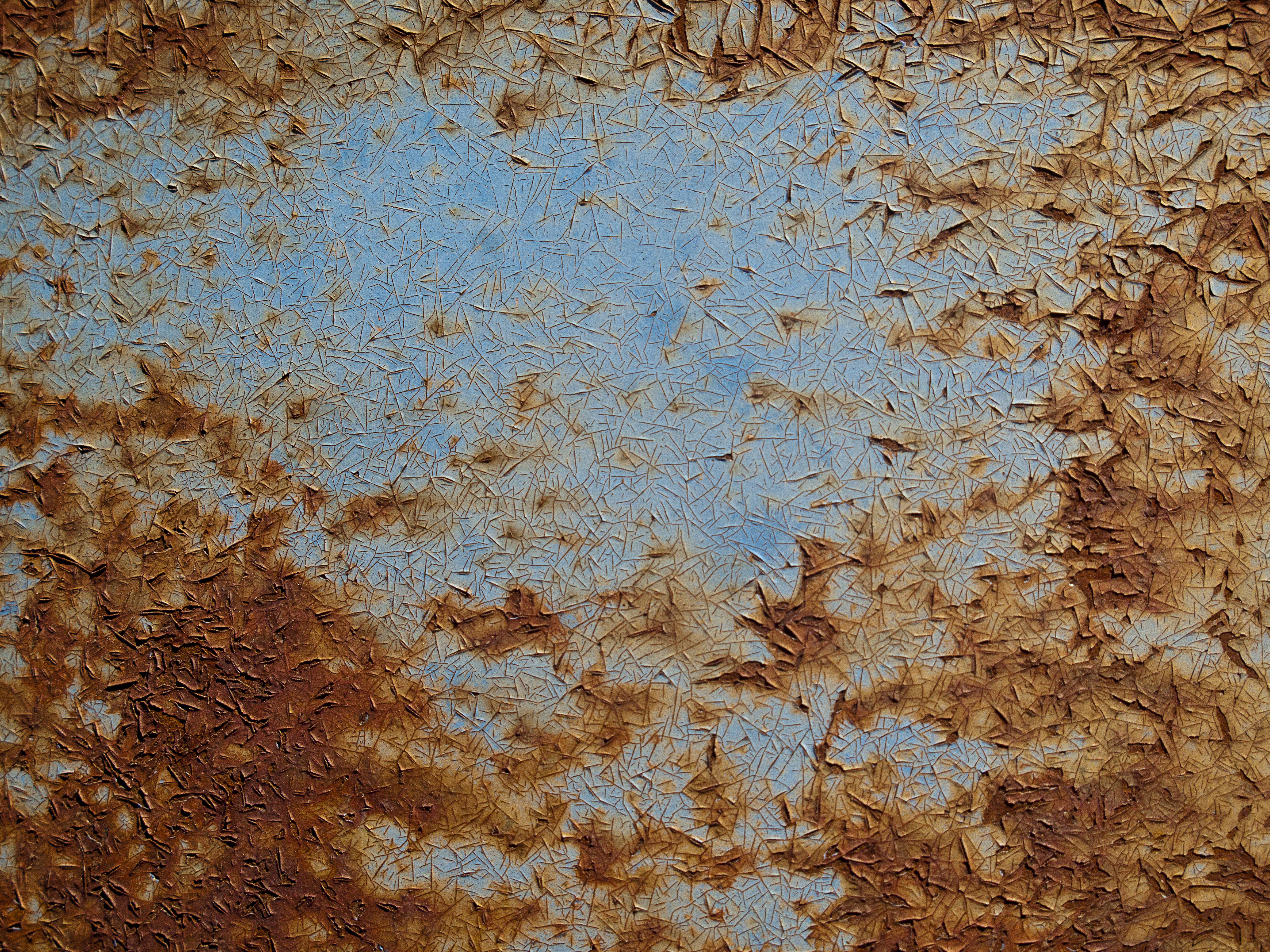Texture : Old Blue has cancer [2 of 2]