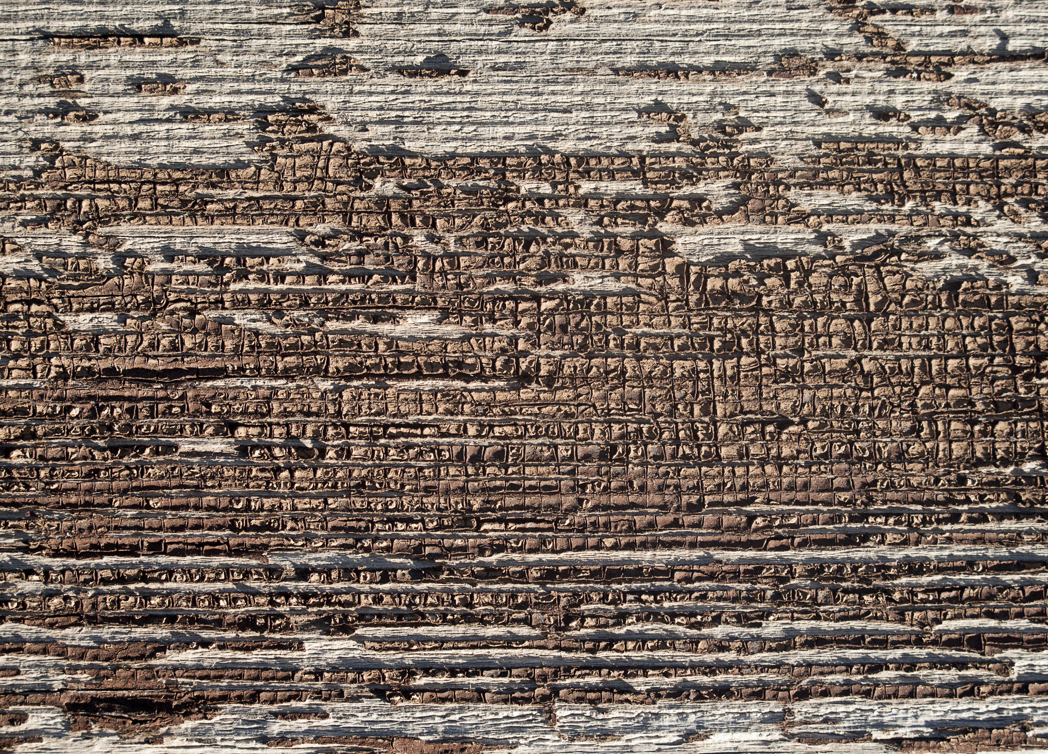 Texture : A Piece of the Beck Homestead