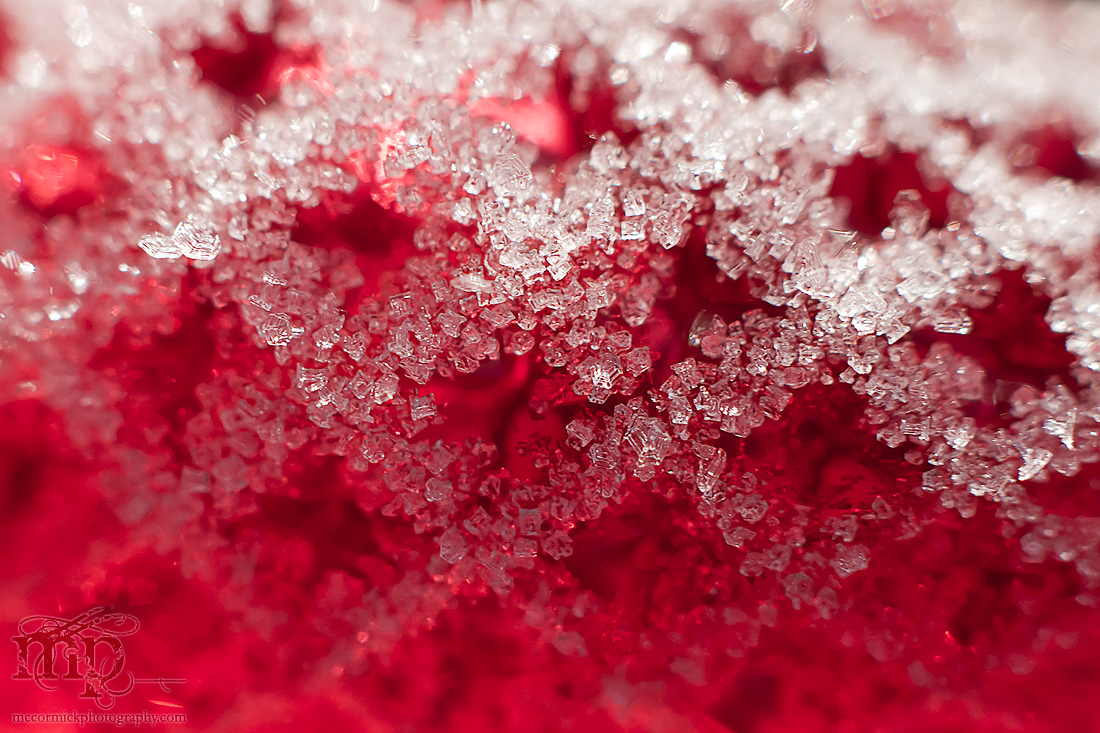 Frosted red LED Christmas light