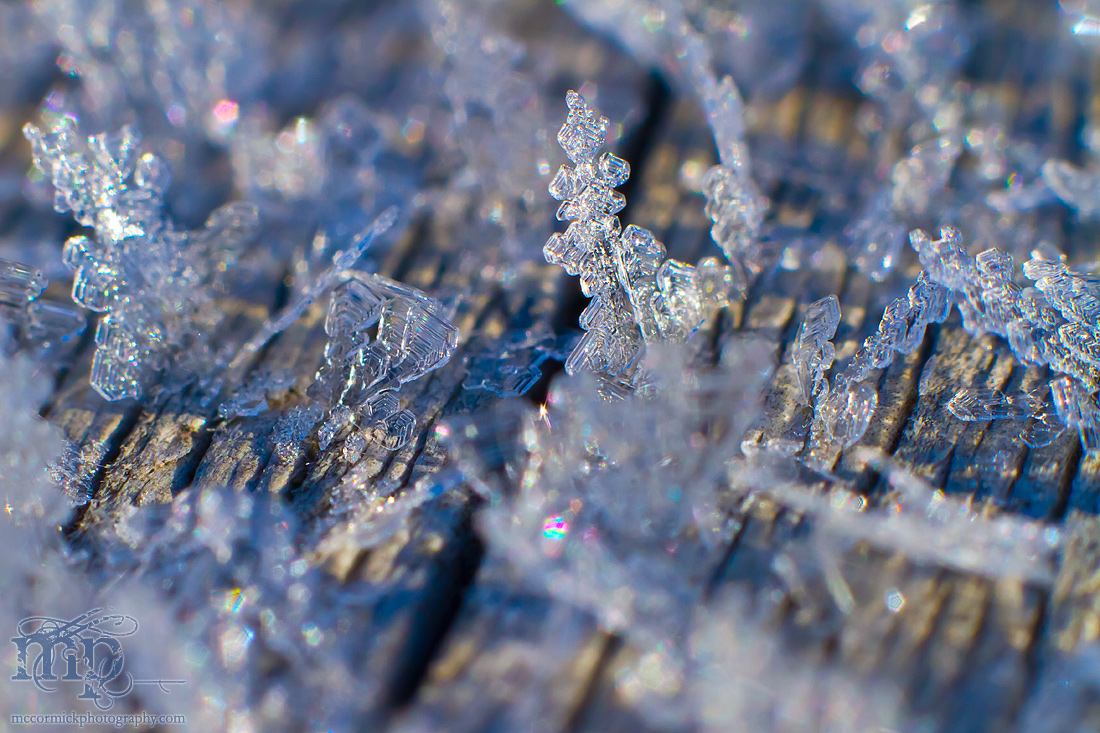Frost on the front porch railing [8 of 8]