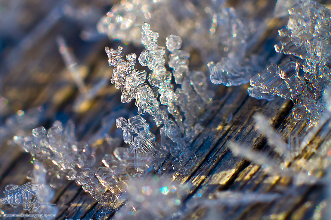 Frost on the front porch railing [6 of 8]