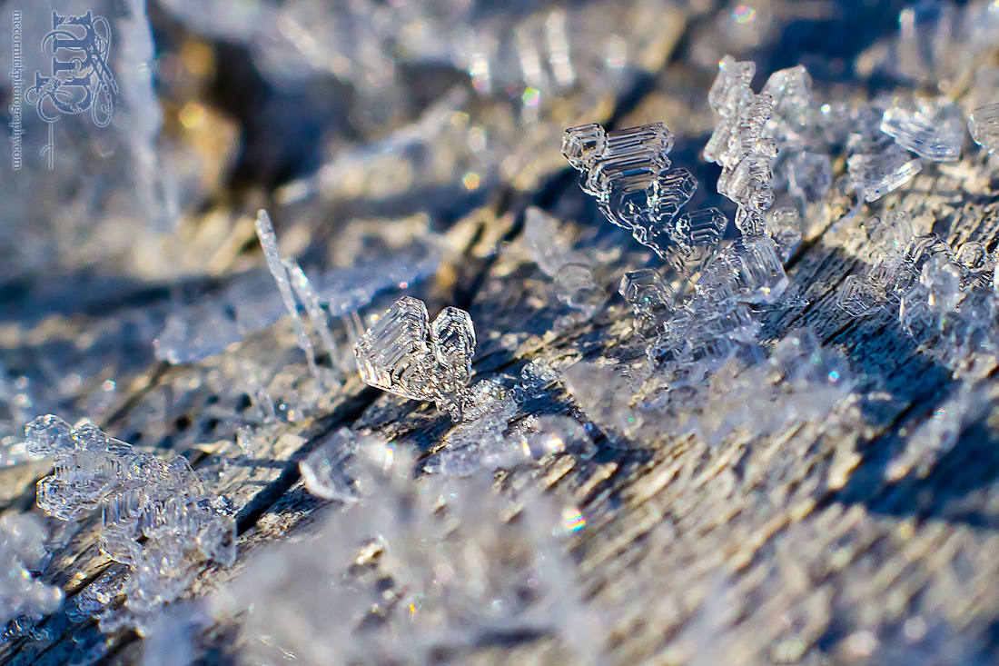 Frost on the front porch railing [5 of 8]