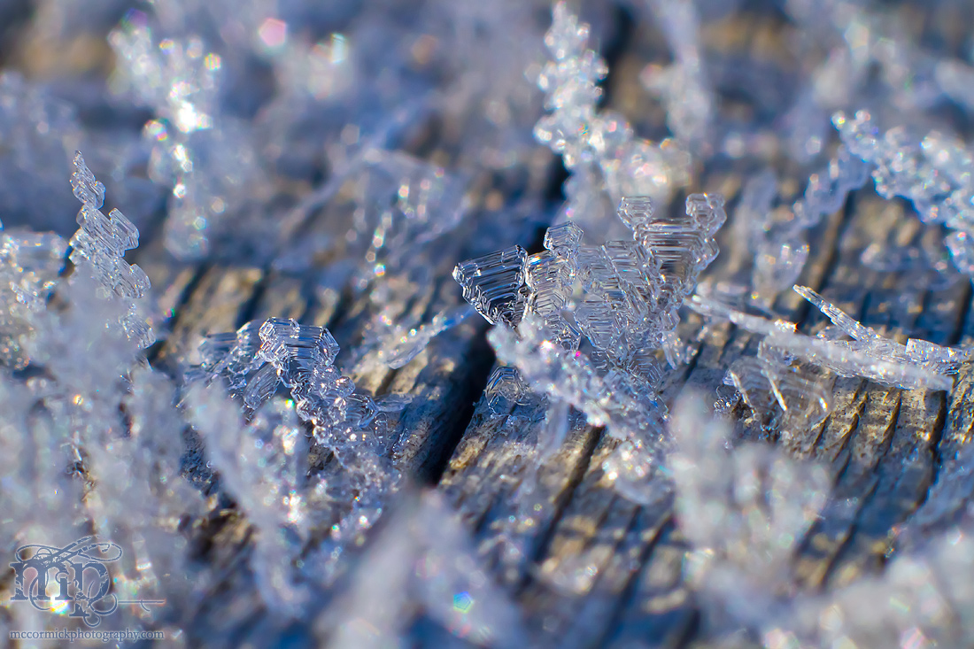 Frost on the front porch railing [3 of 8]