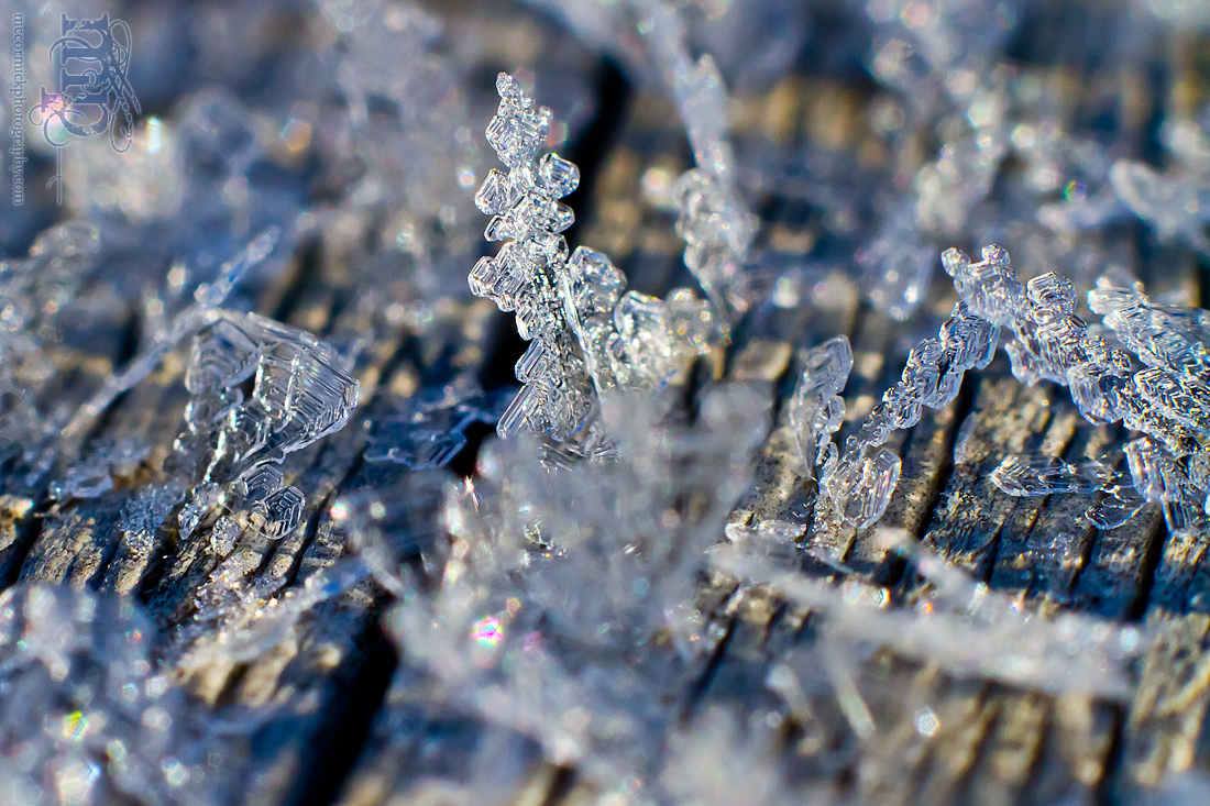Frost on the front porch railing [1 of 8]