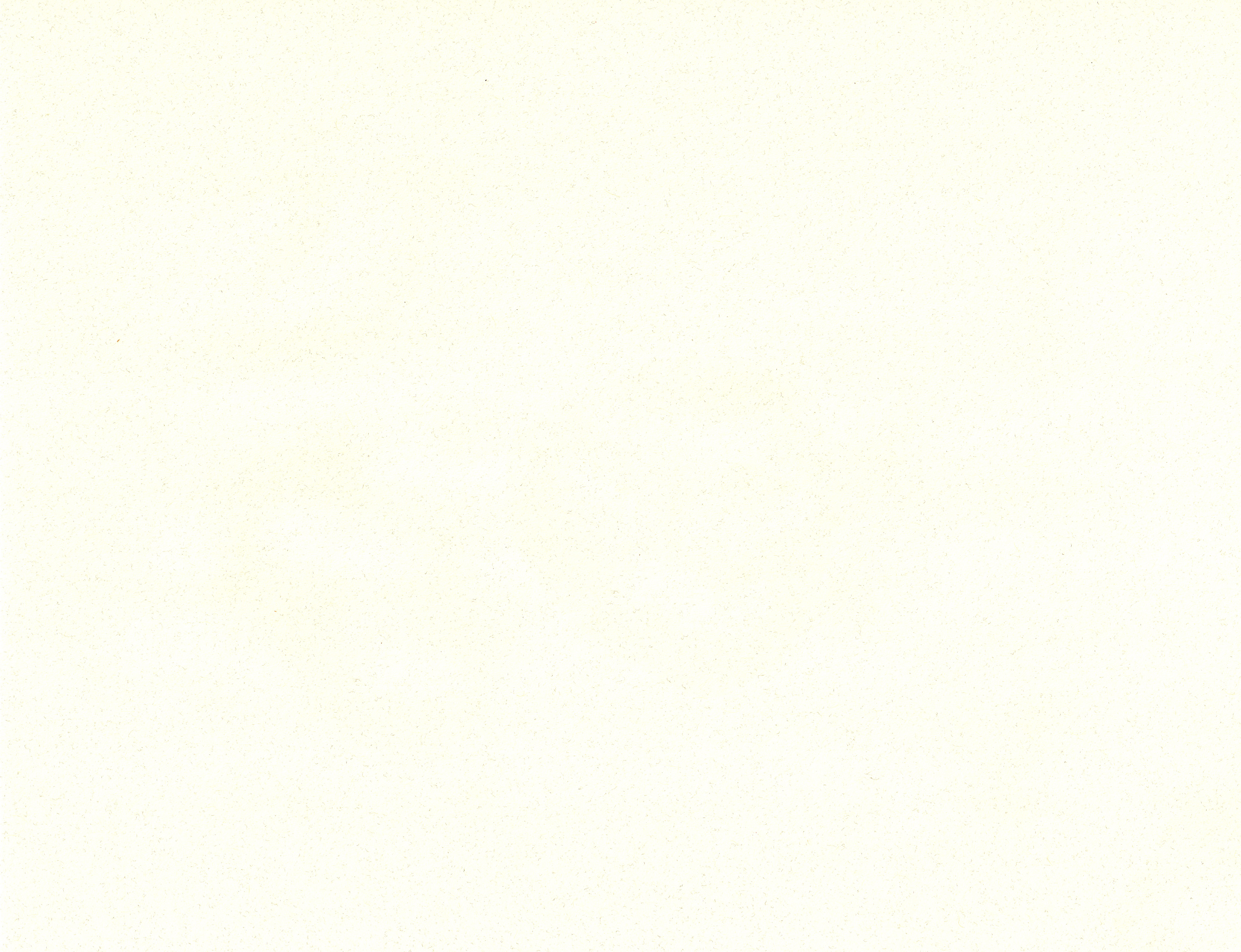 Texture : Wassau Paper / Royal Fiber / Natural