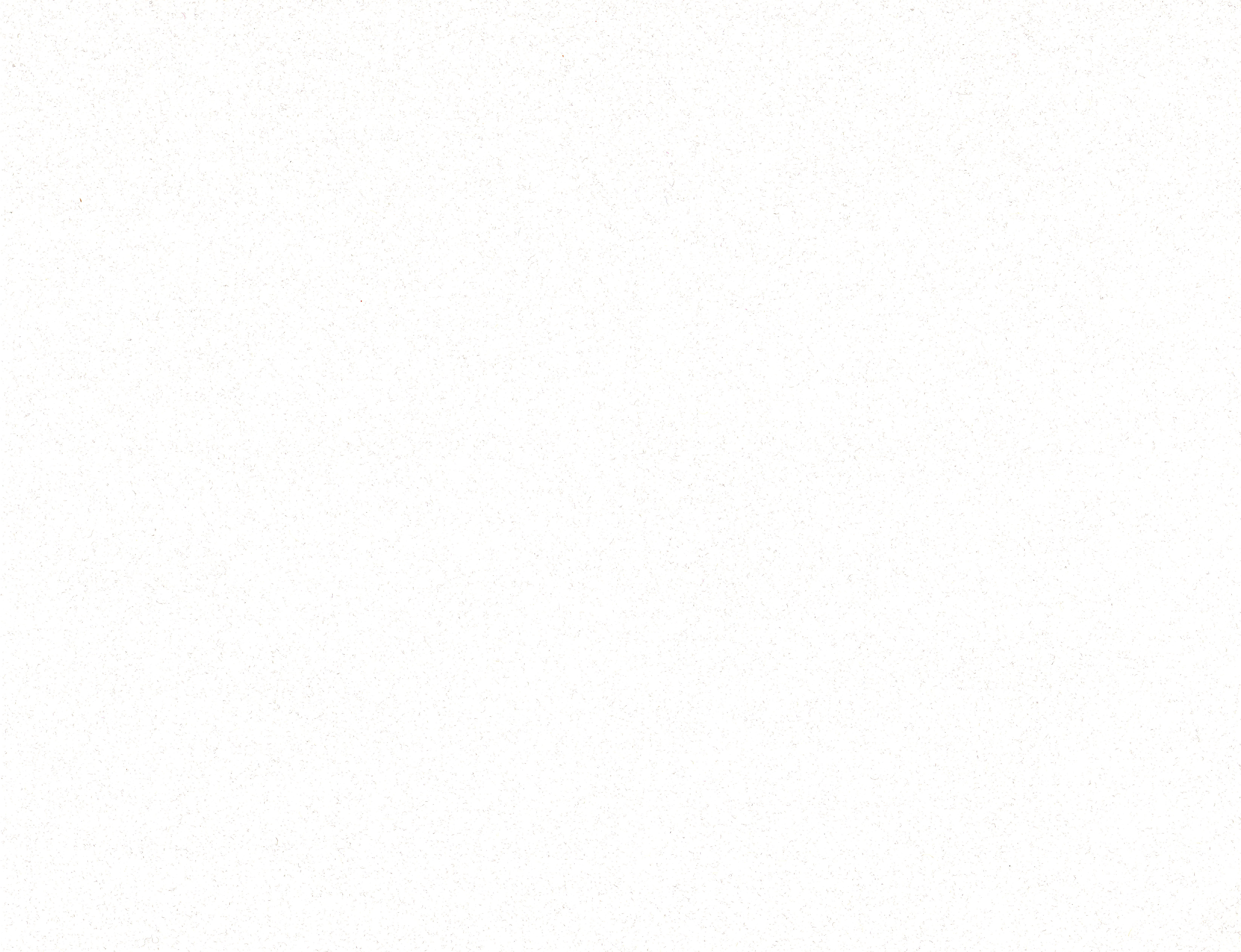 Texture : Wassau Paper / Royal Fiber / White