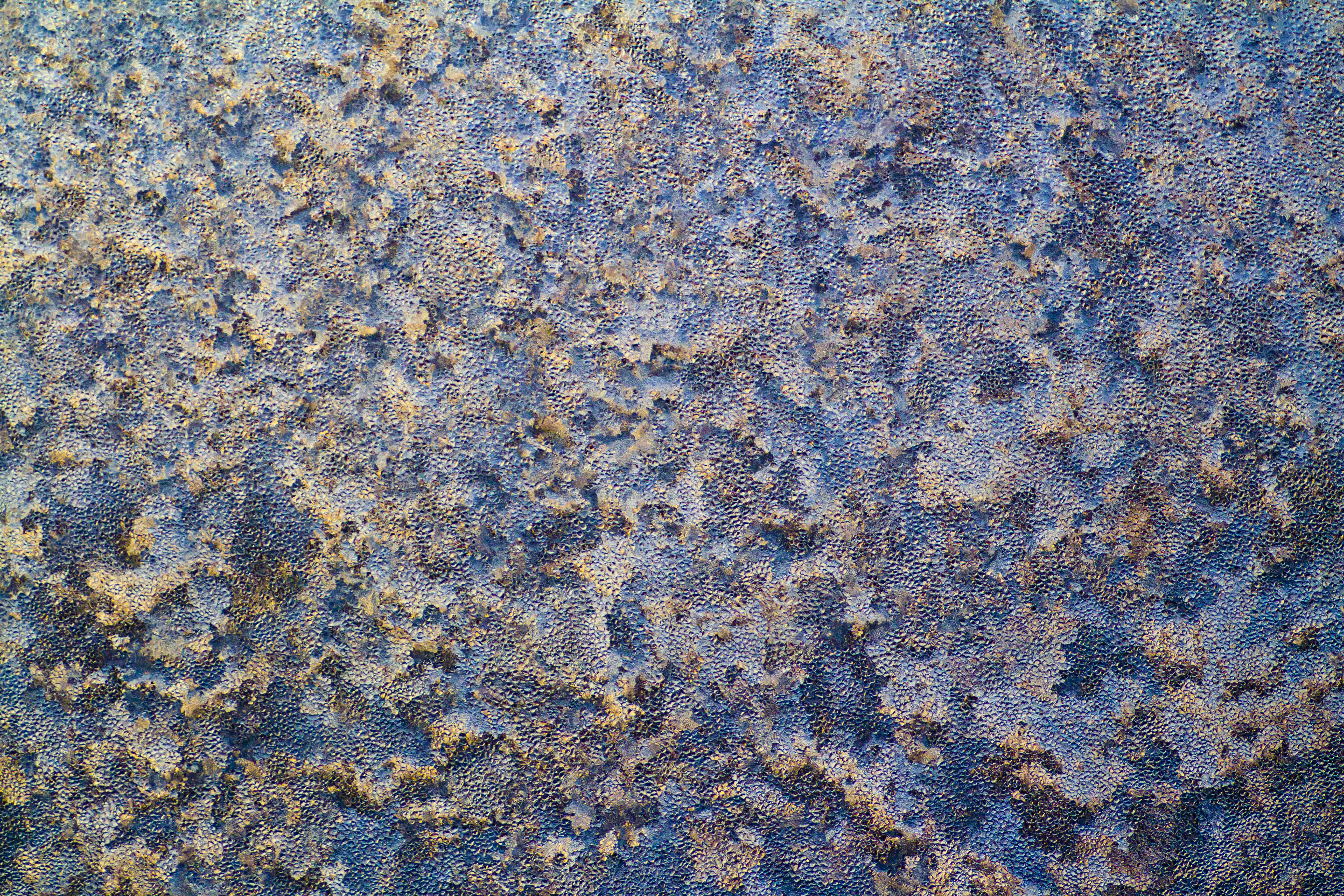 Texture : 2012-02-18 / Frost on the Kitchen Window [5 of 6]