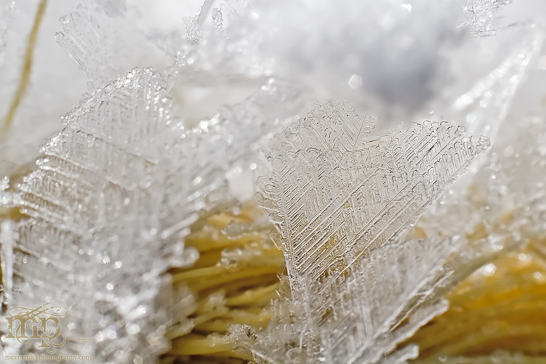 Frost on nylon rope [2 of 5]