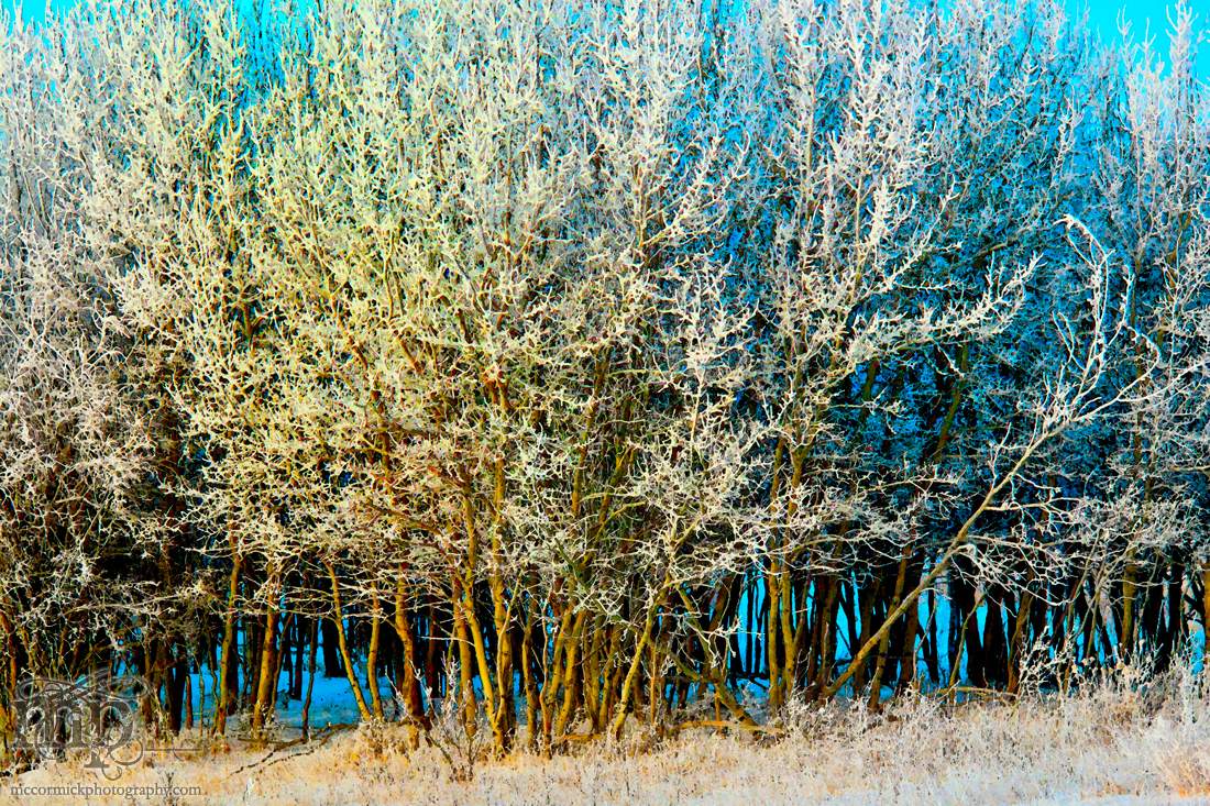 A frosty morning in watercolour