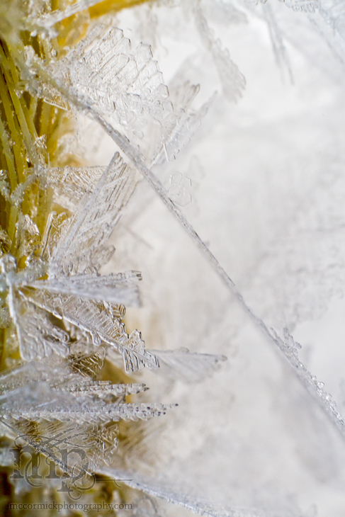 Frost on nylon rope [1 of 5]