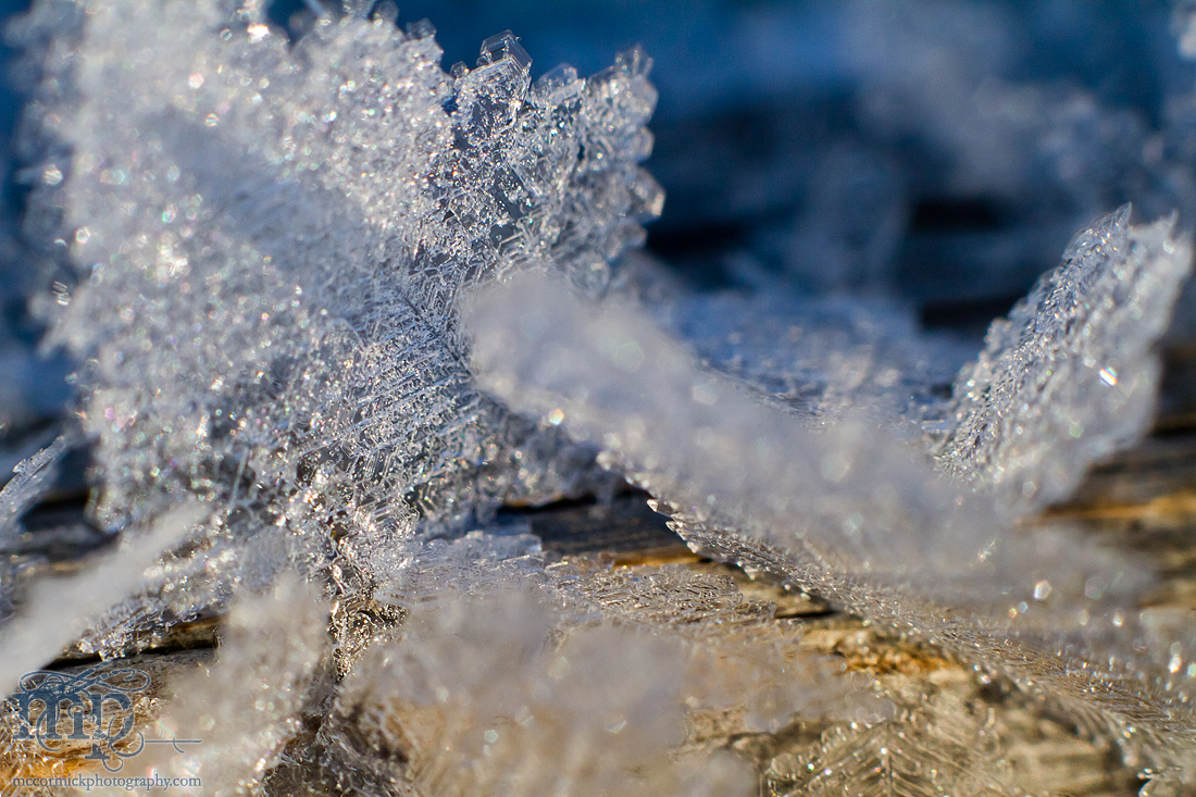 Mar 7, 2012: Frost on the railing [6 of 7]