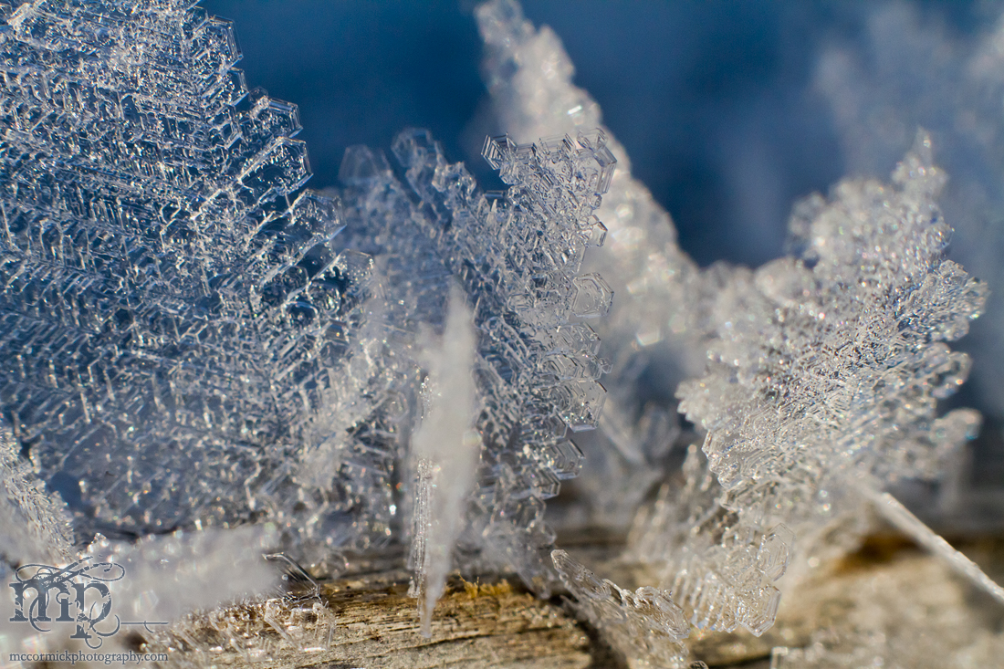 Mar 7, 2012: Frost on the railing [3 of 7]