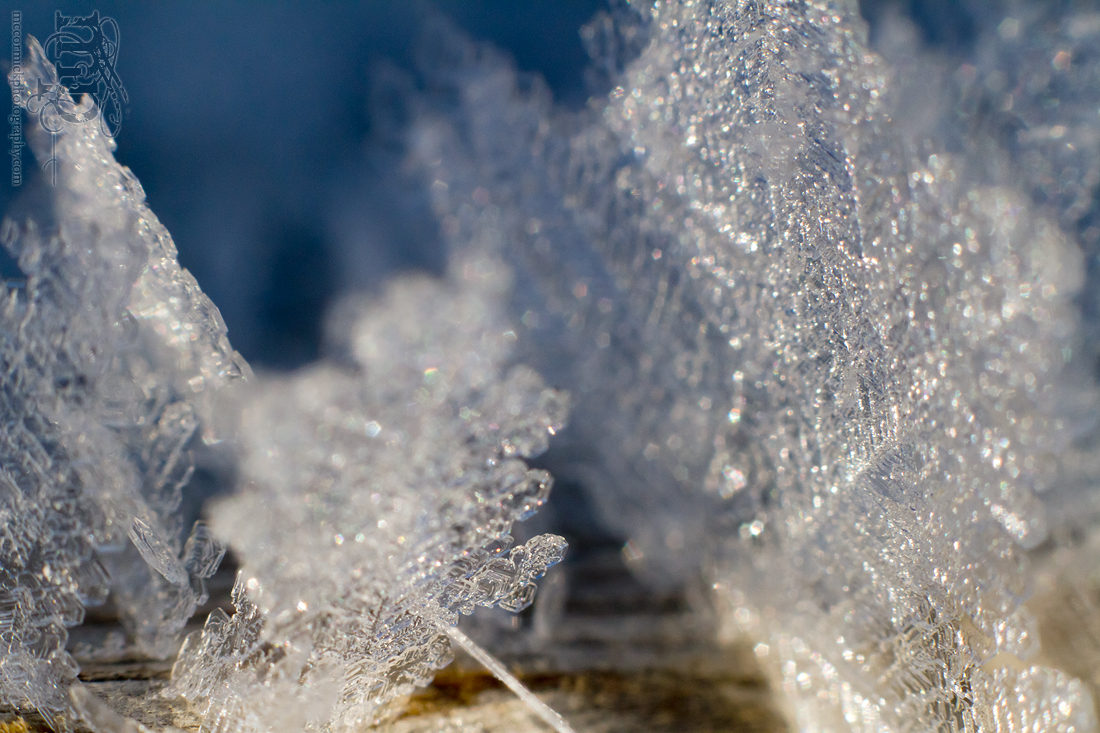 Mar 7, 2012: Frost on the railing [2 of 7]