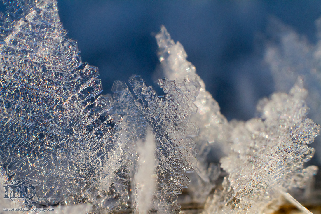 Mar 7, 2012: Frost on the railing [1 of 7]