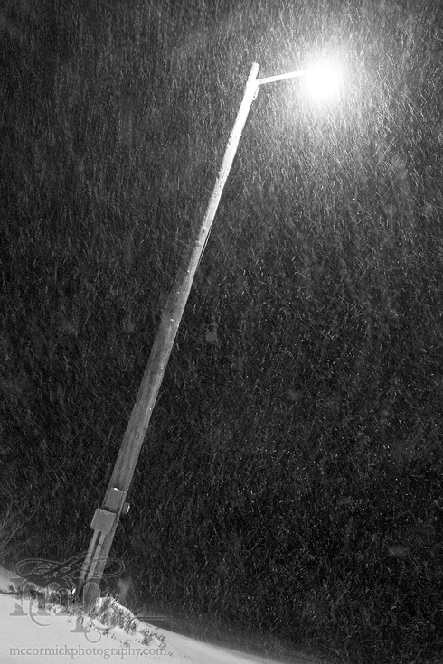 Paradice by the farm yard light