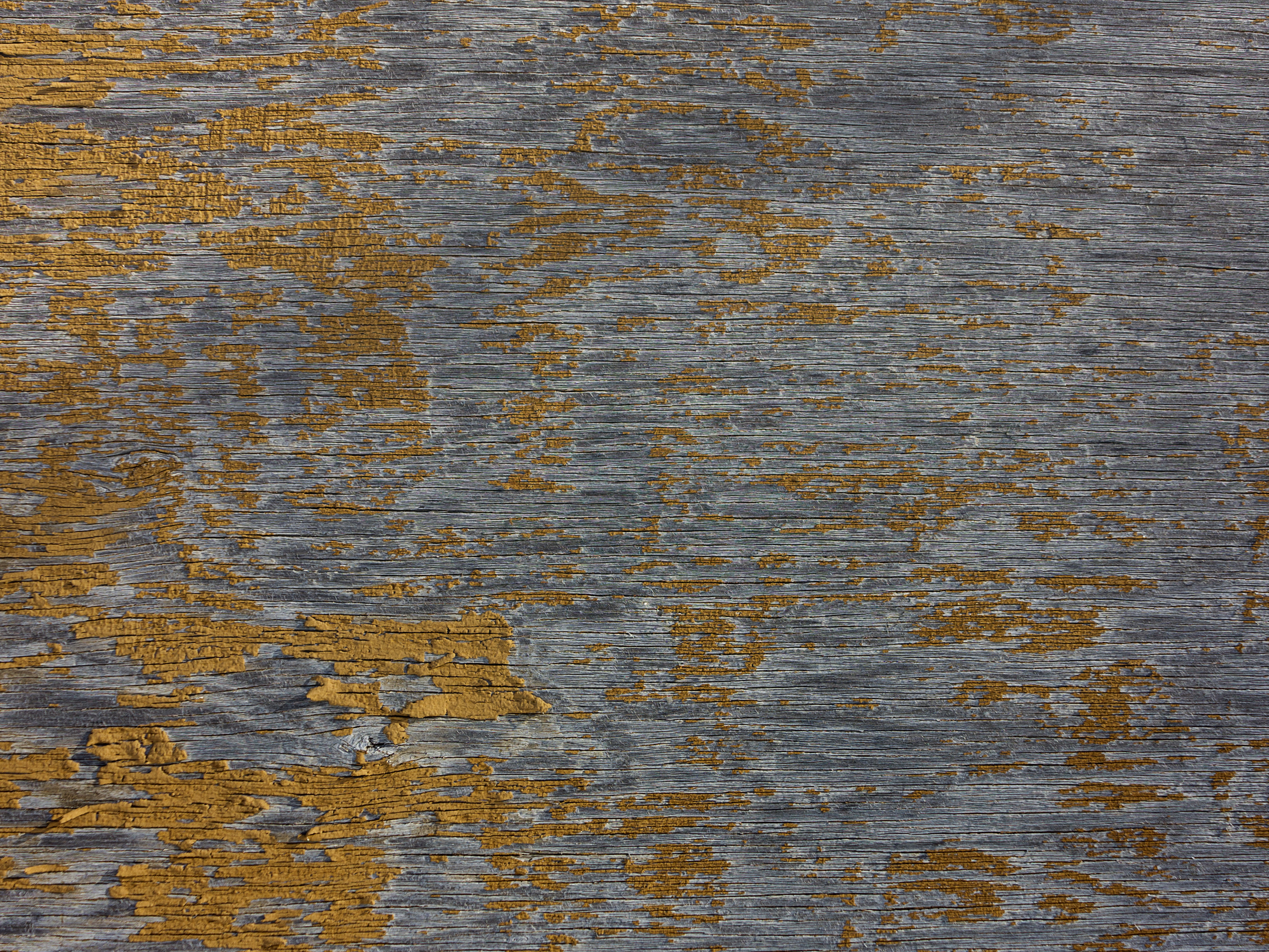 Texture : Peeling yellow paint on plywood [4 of 4]