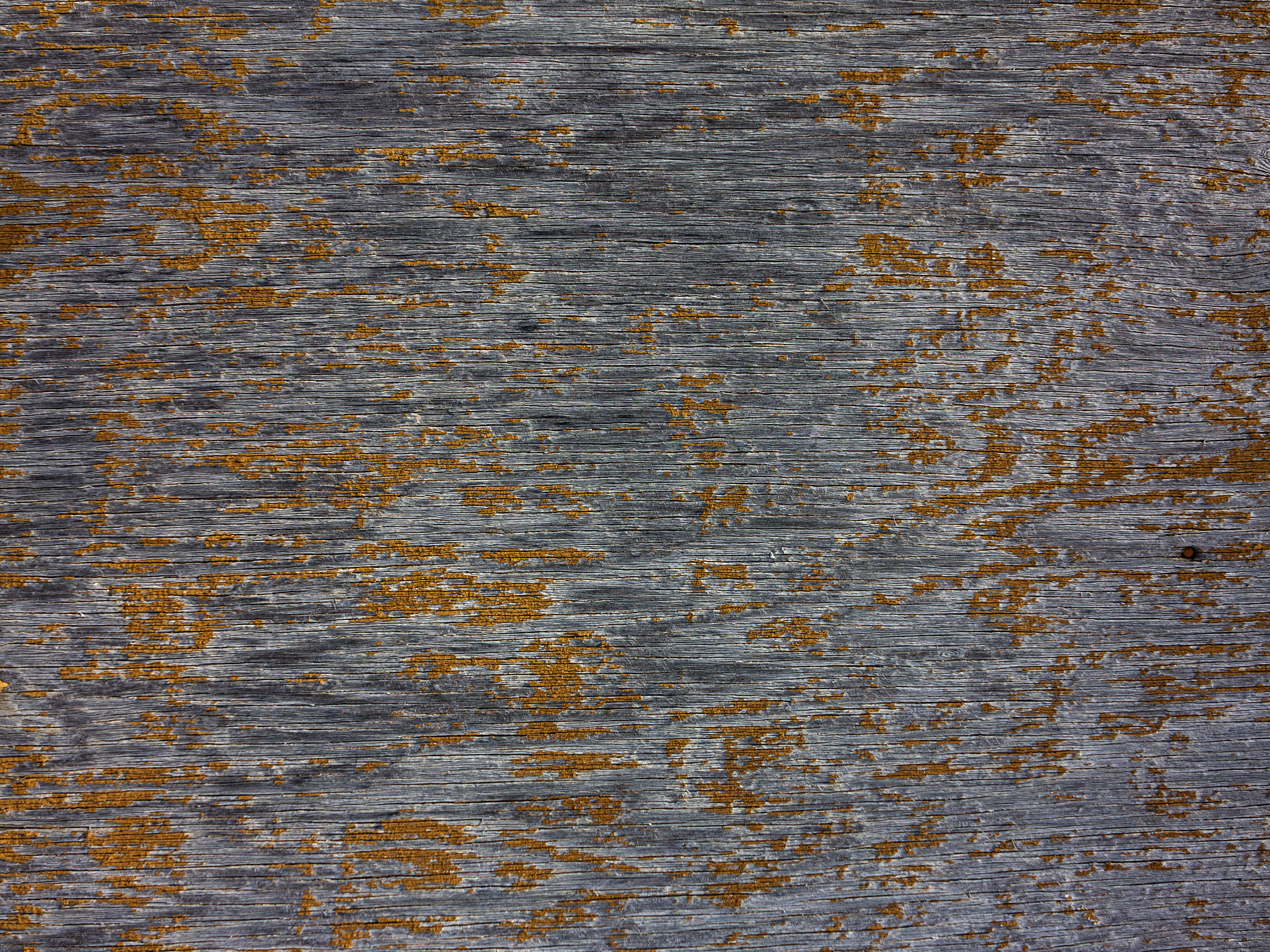 Texture : Peeling yellow paint on plywood [2 of 4]