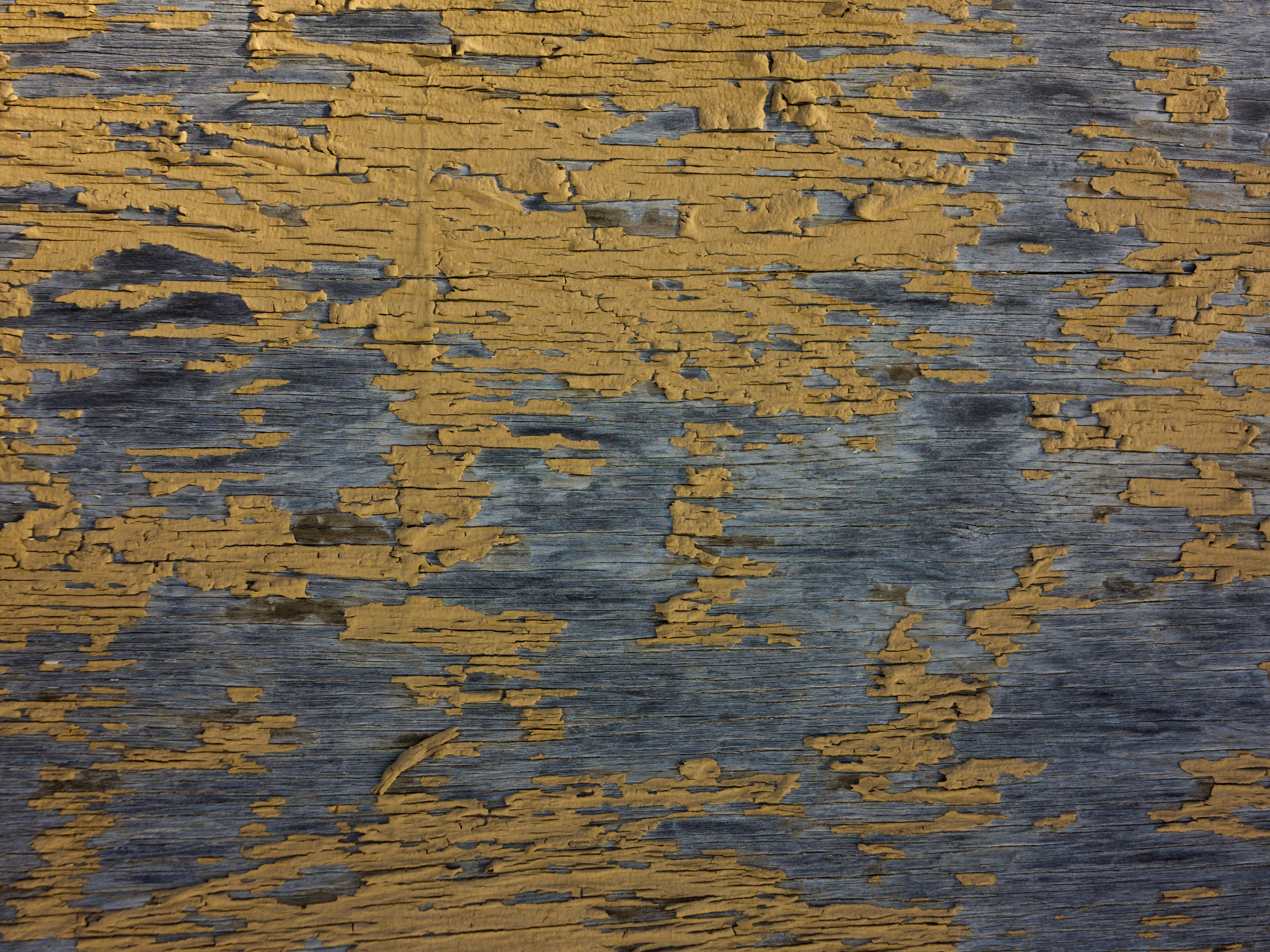 Texture : Peeling yellow paint on plywood [1 of 4]