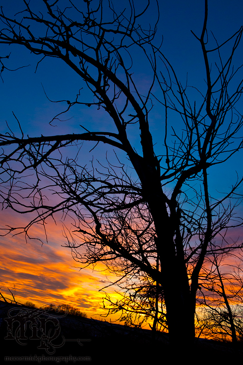 Sunset: Mar 09, 2012 [1 of 2]