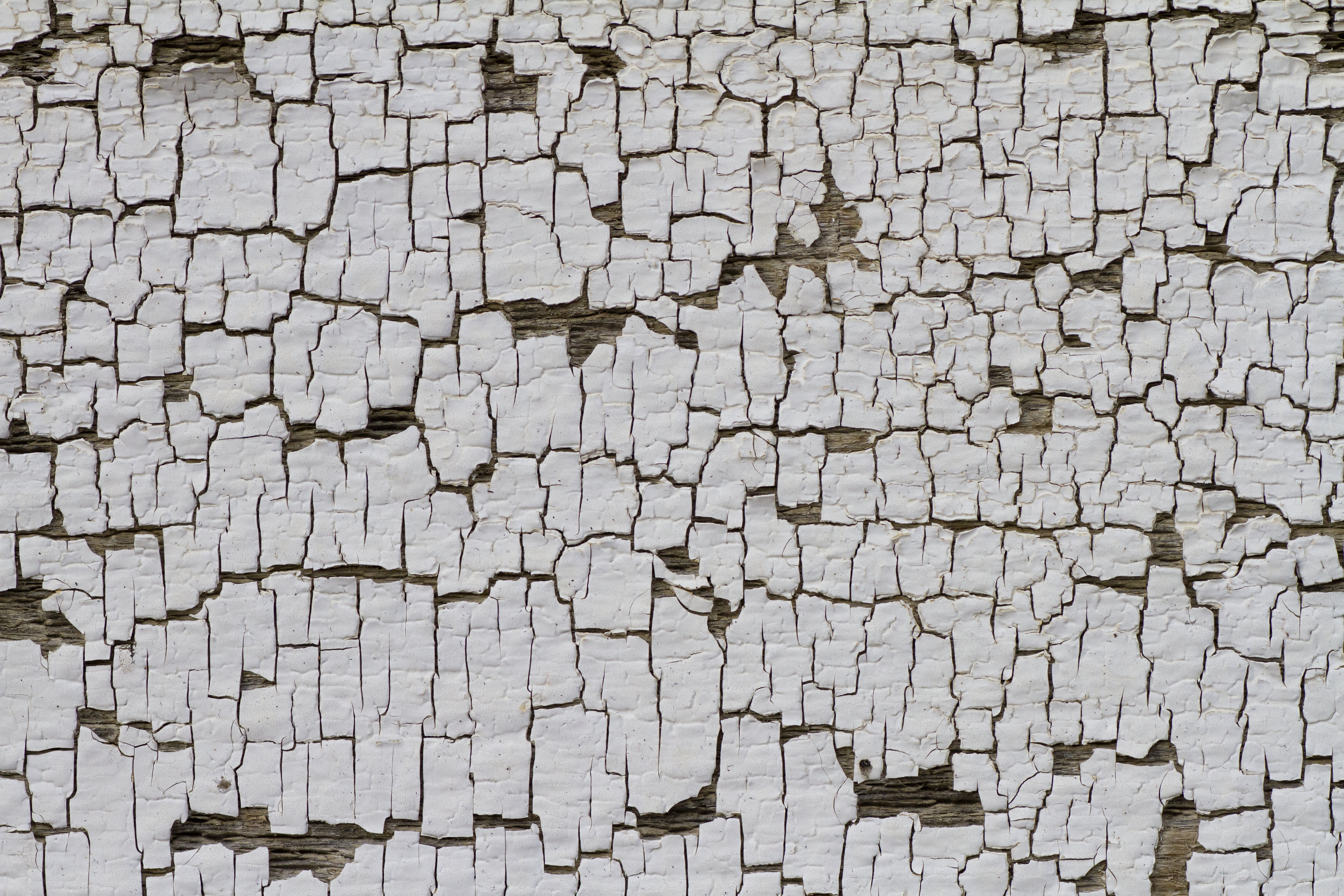 Texture : Peeling paint on old homestead [4 of 5]