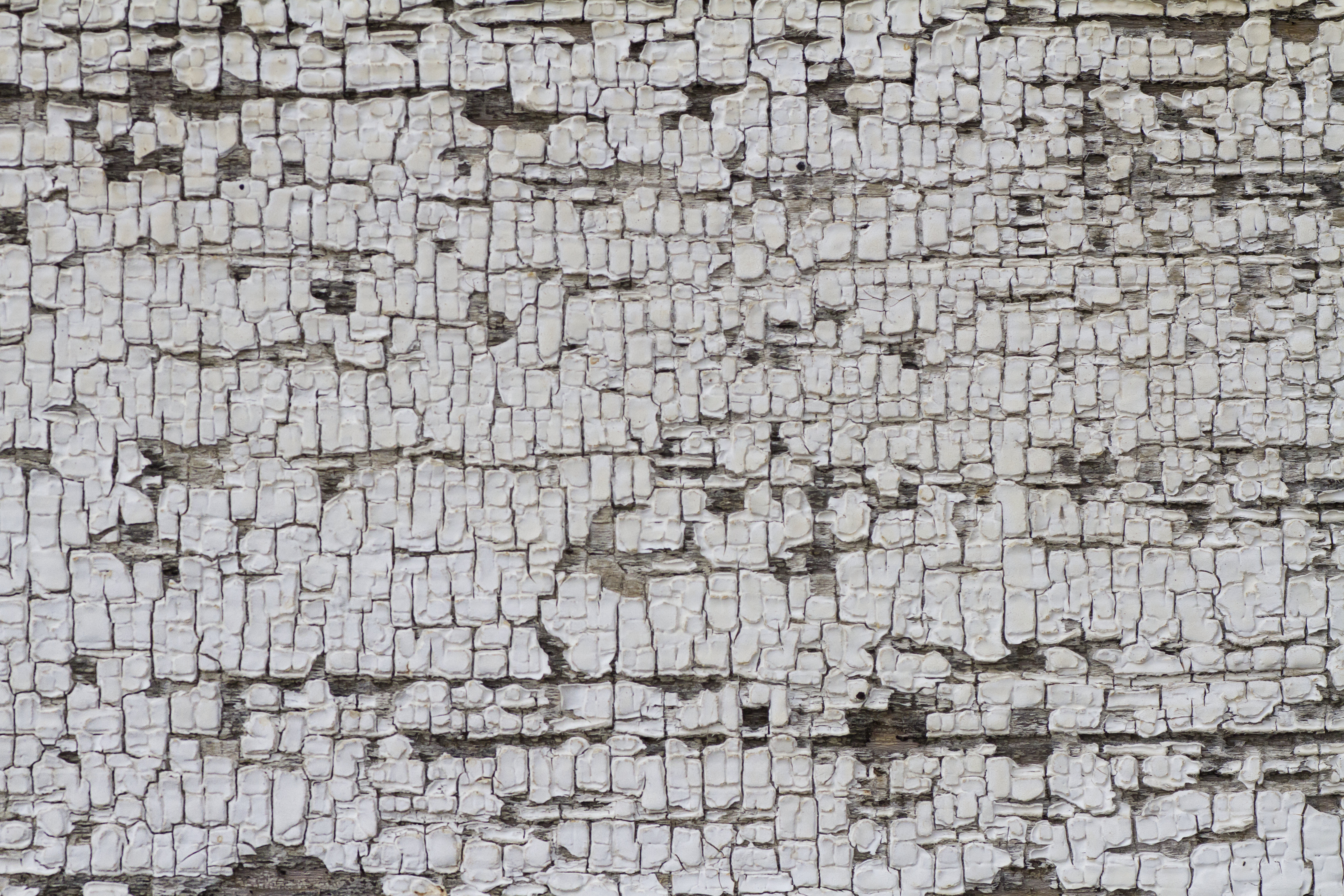 Texture : Peeling paint on old homestead [3 of 5]